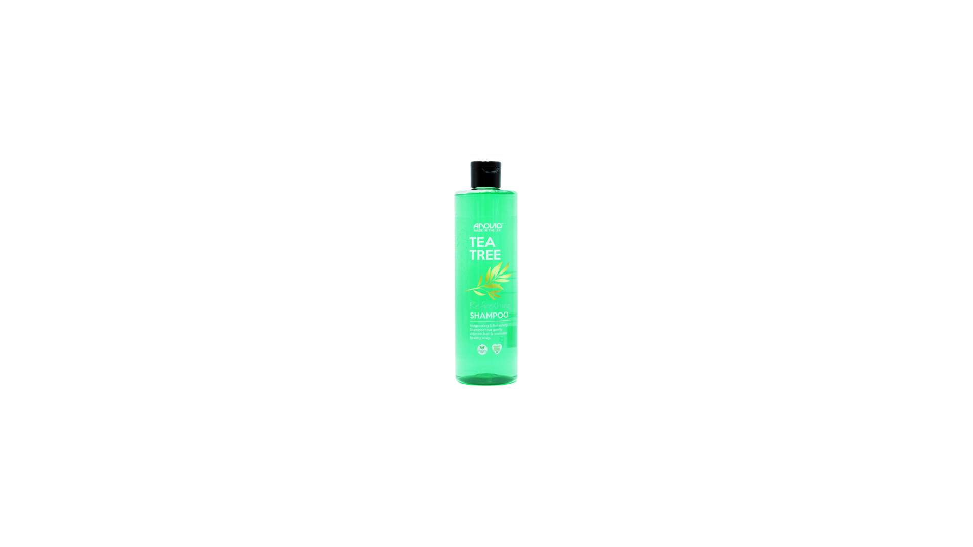 Untitled design (68).png