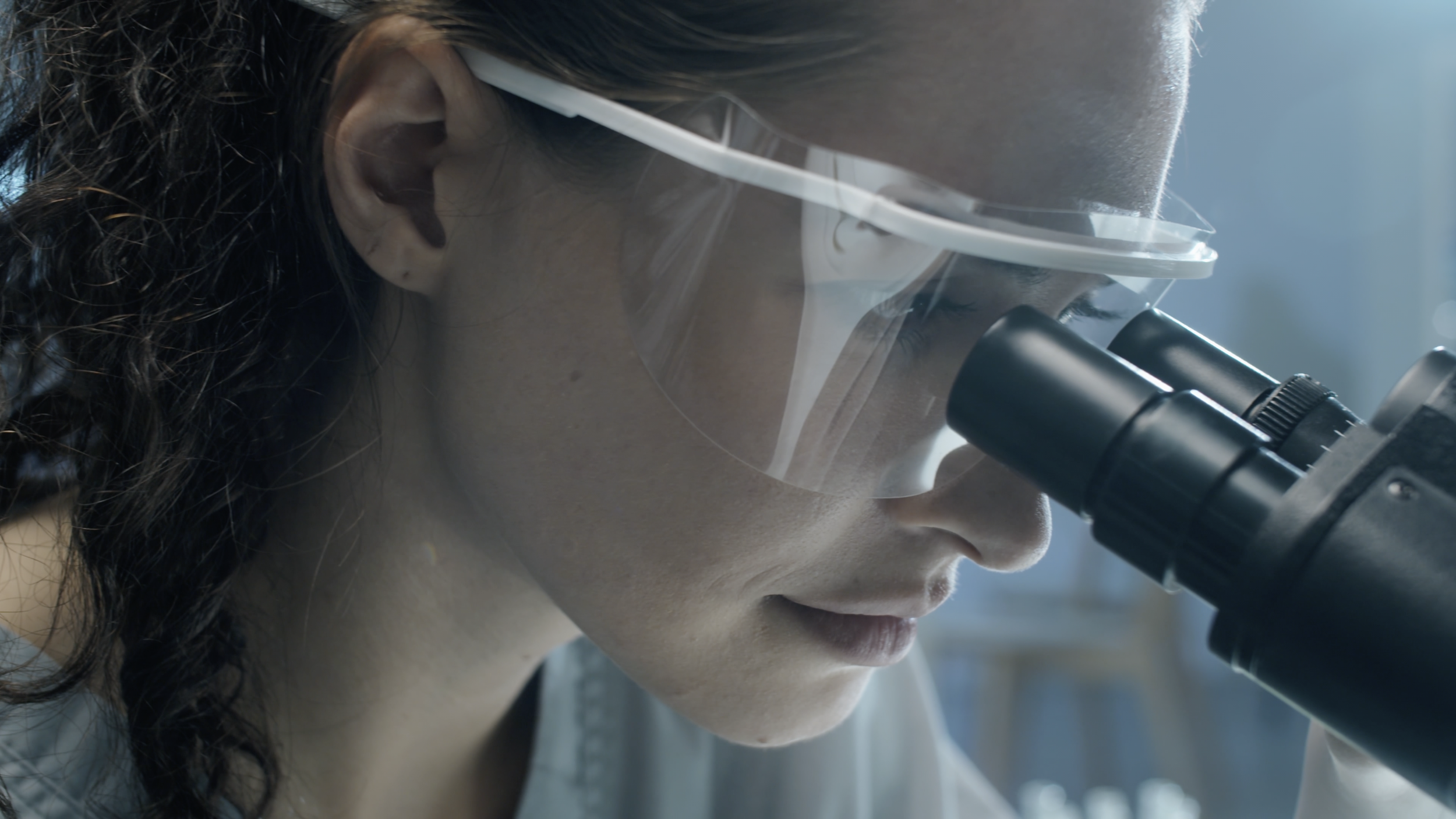 CELLIMA | Science deserves structure