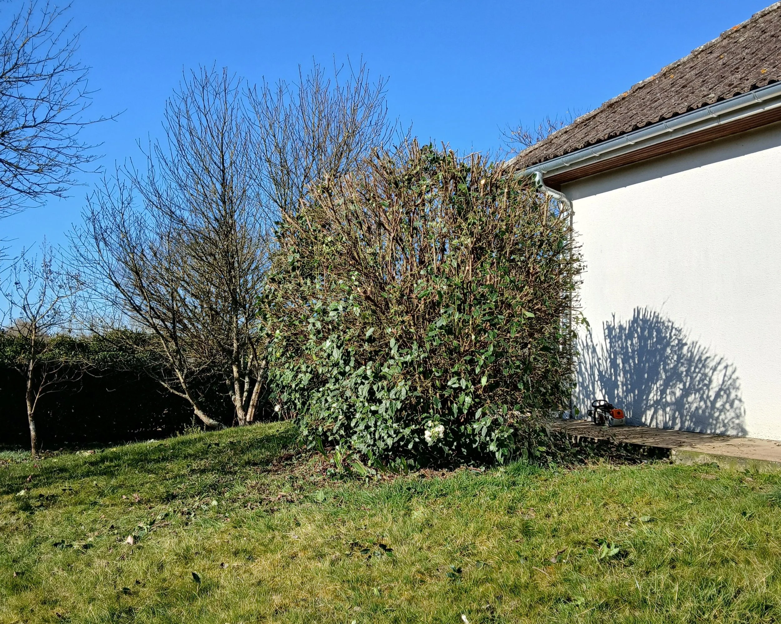 Paysagiste Vendôme. Arbuste taillé près d'une maison avec tronçonneuse sur le sol, ciel bleu.