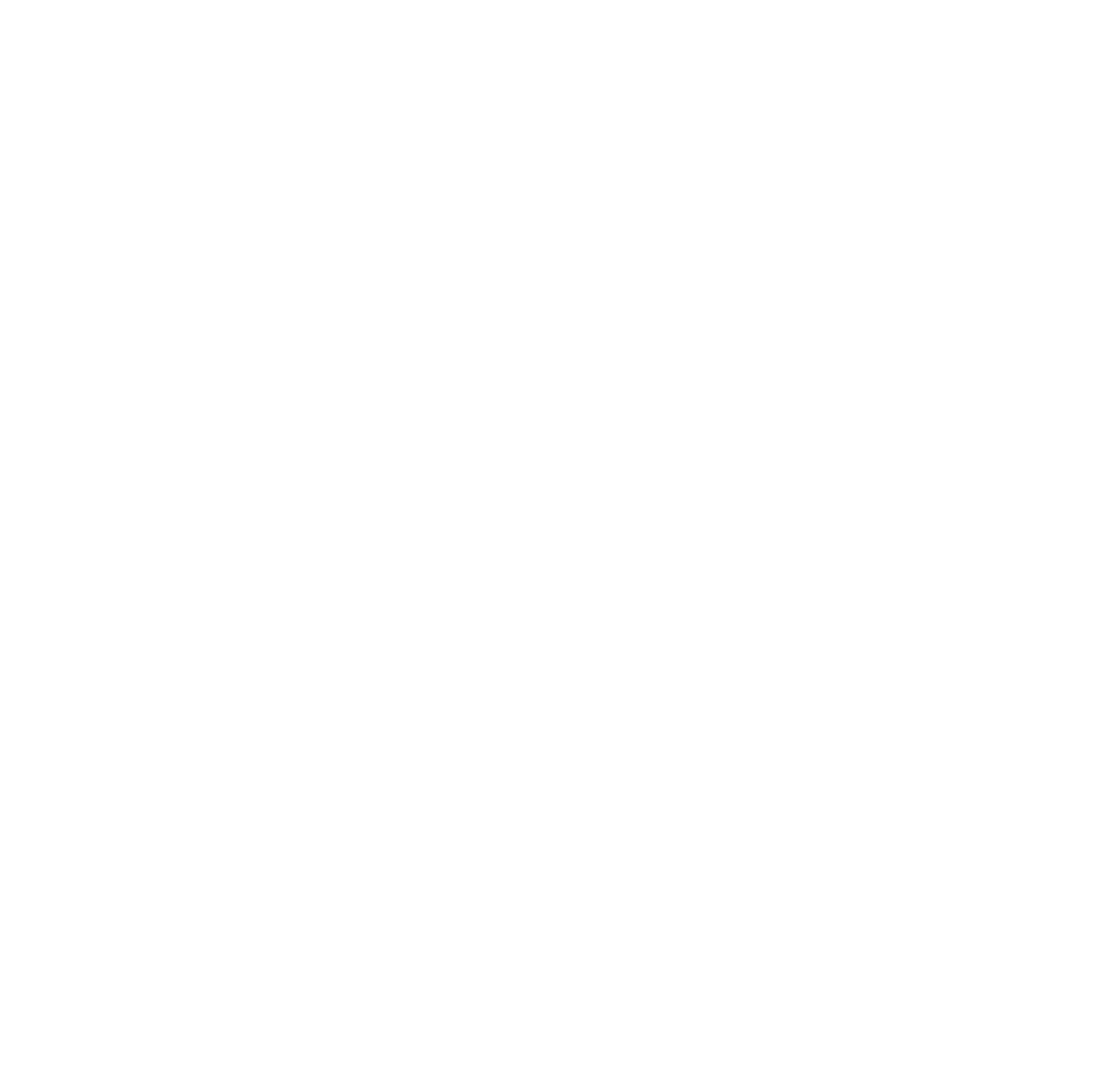 Peak Form Logo-simpe white on transparent.png