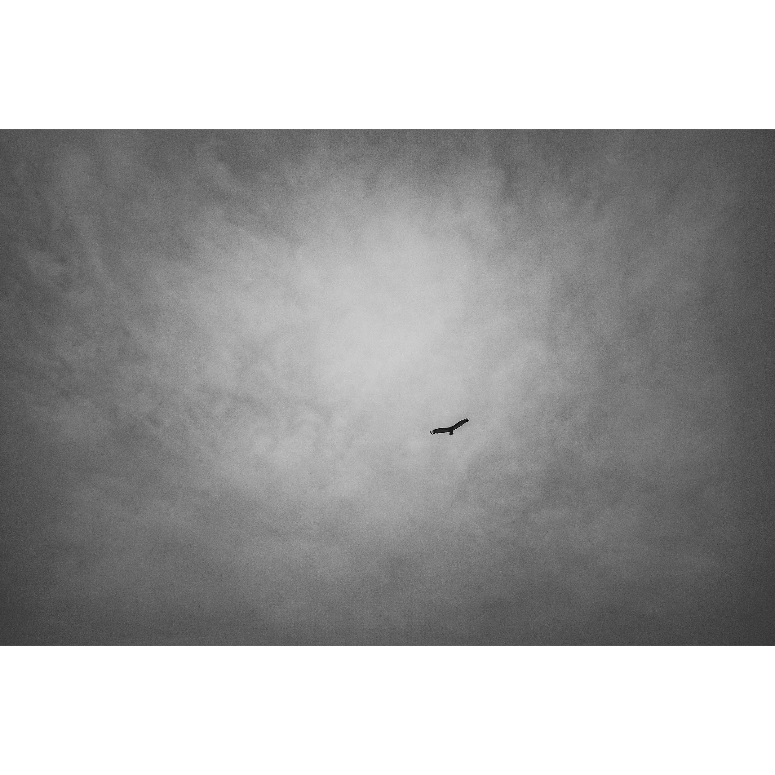 Vulture-Sky-Clouds-Black and White-Photograph-Print-Web.jpg