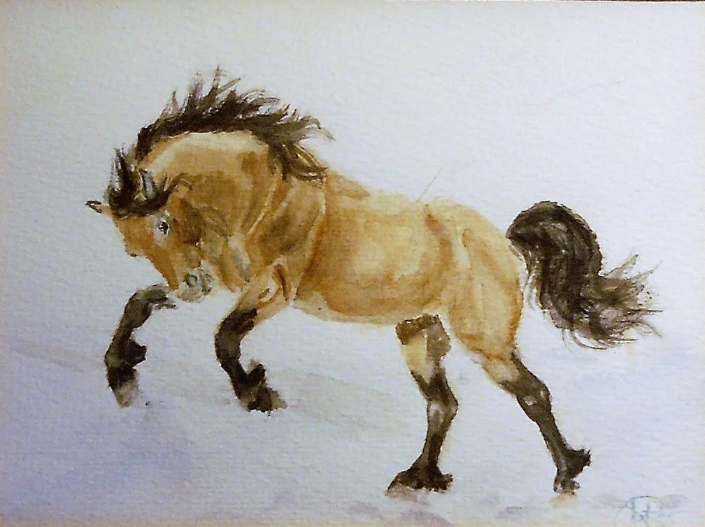 En sprallig häst med brun kropp och mörk man och svans som rör sig på en vit bakgrund.