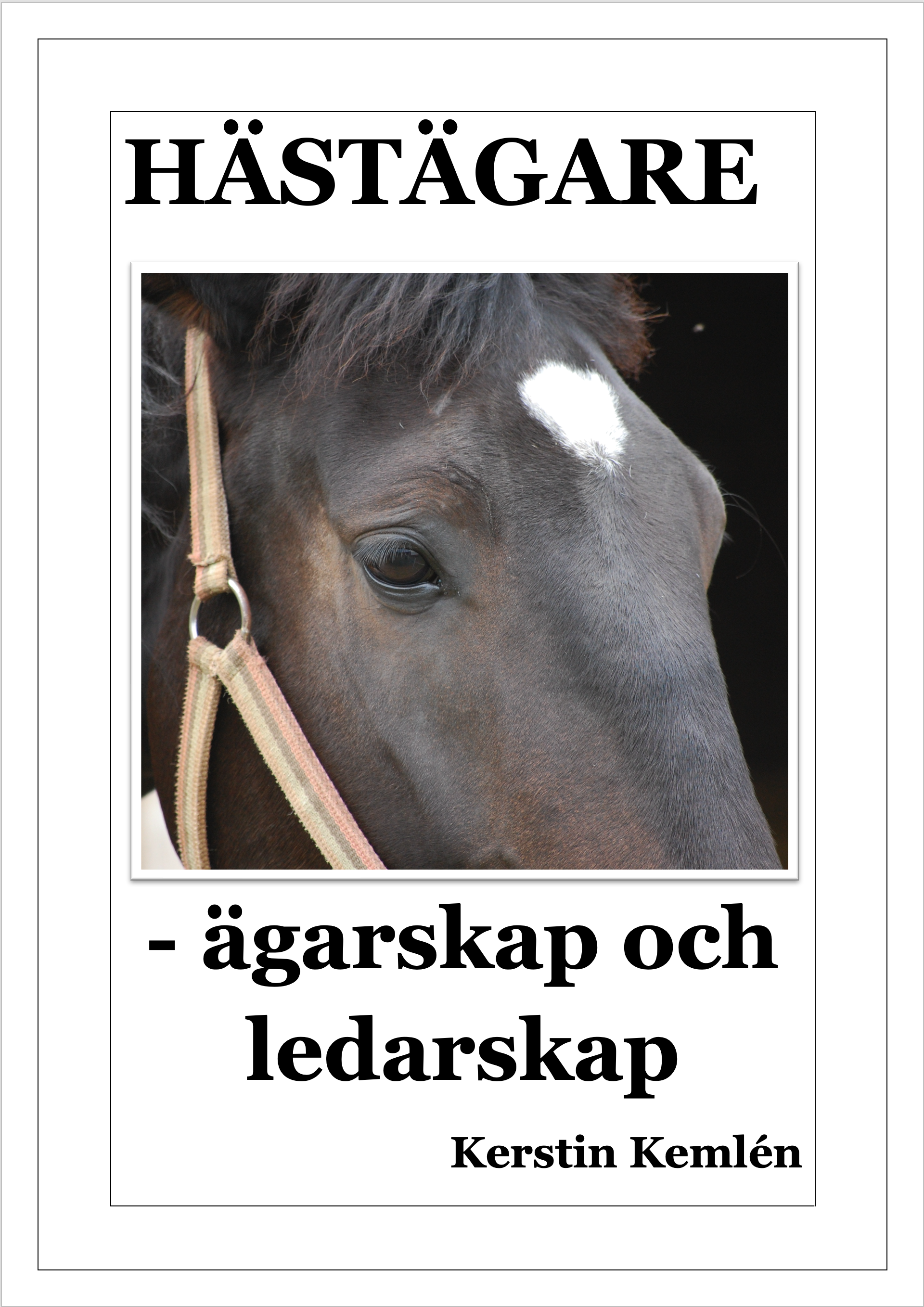 Hästägare - ägarskap och ledarskap