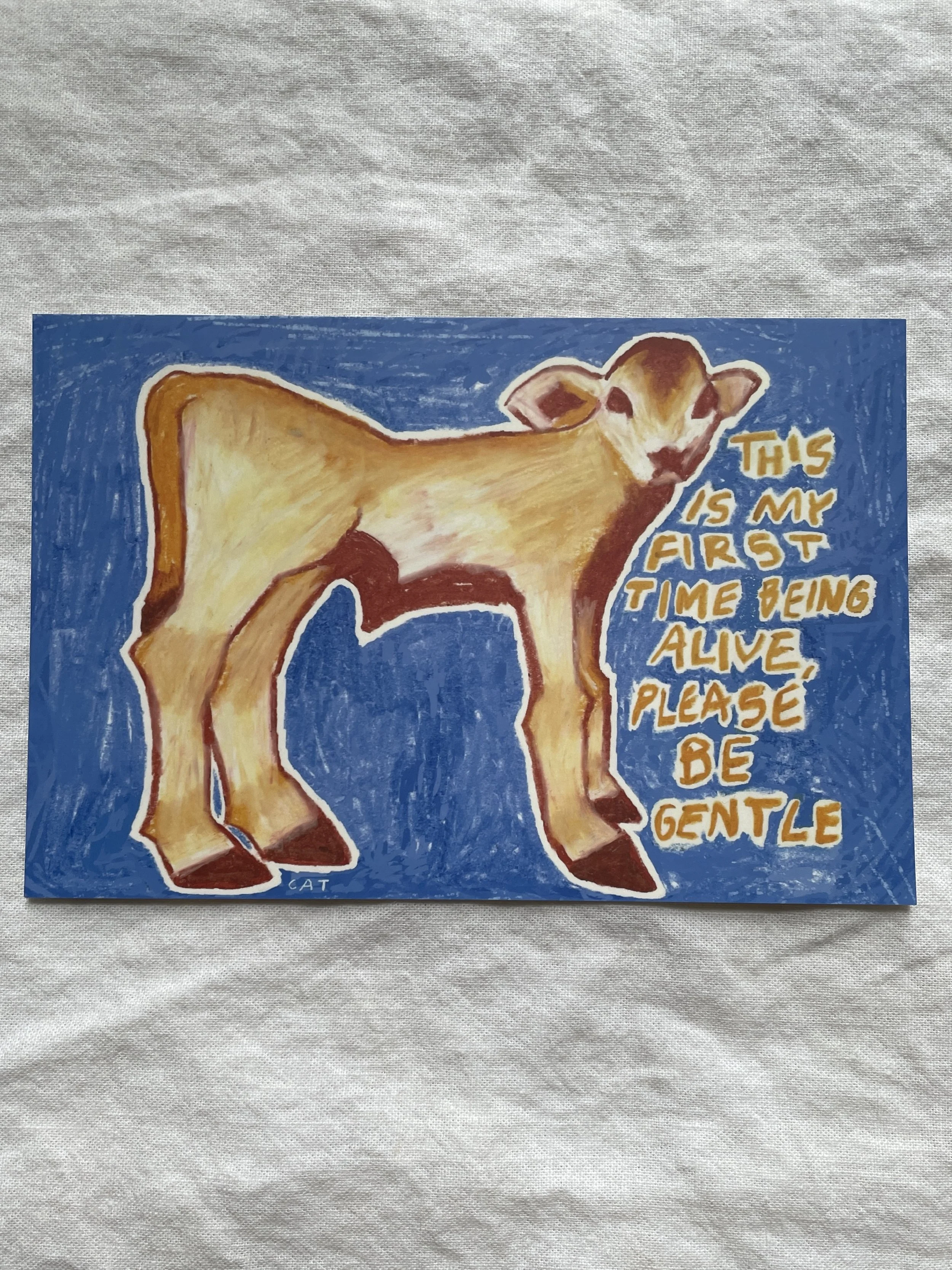 "Please Be Gentle" Postcard