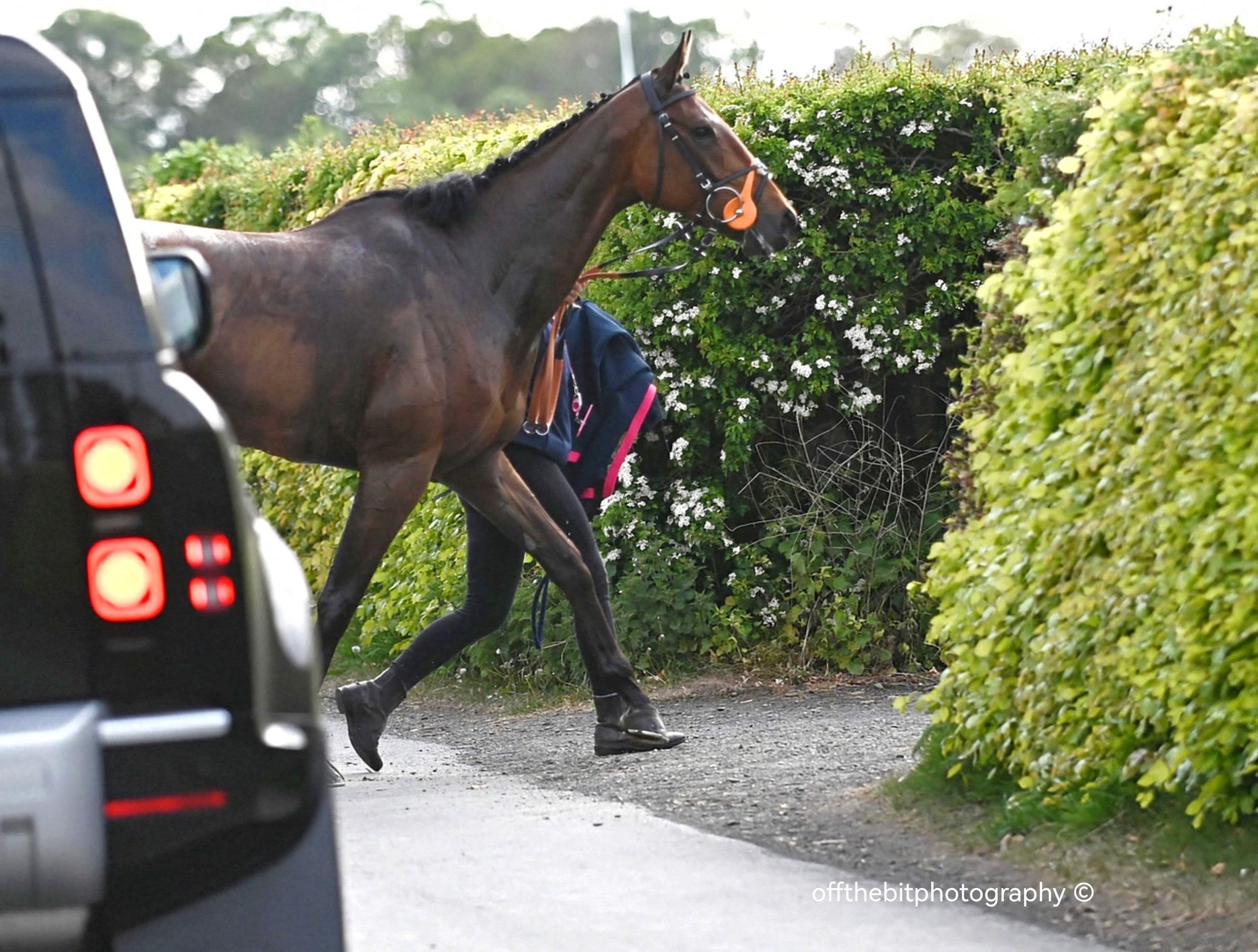 kelsoraces-offthebitphotography11.jpeg