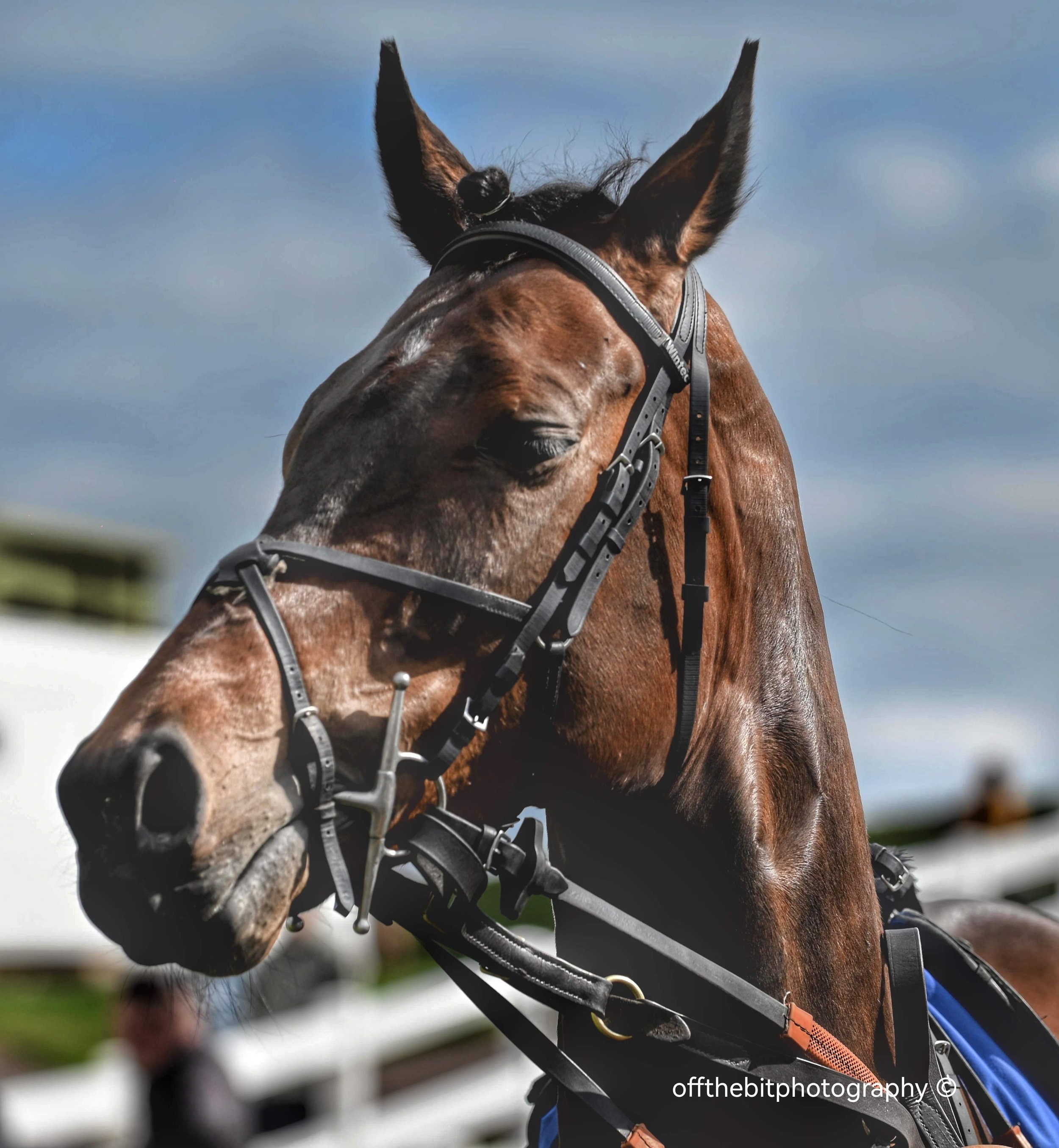 kelsoraces-offthebitphotography19.jpeg
