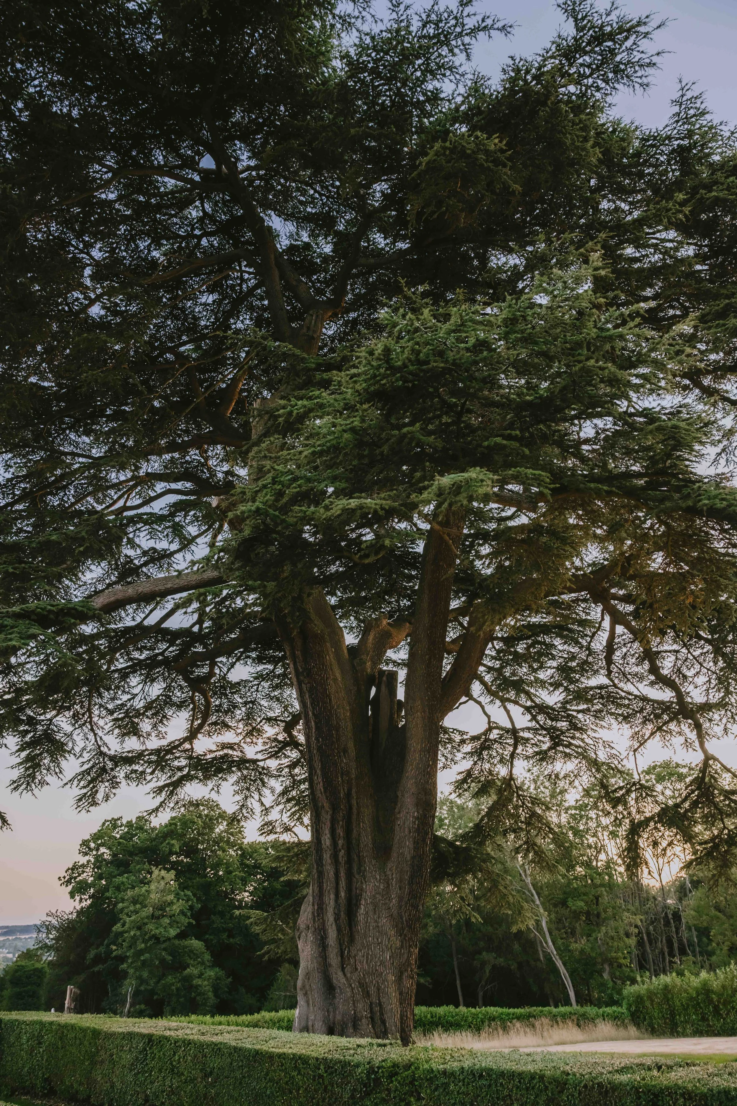 hedsorhousewedding-73.jpg