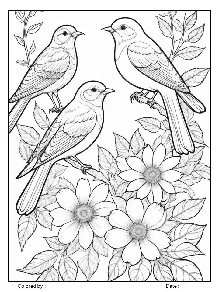 Garden_Birds.jpg