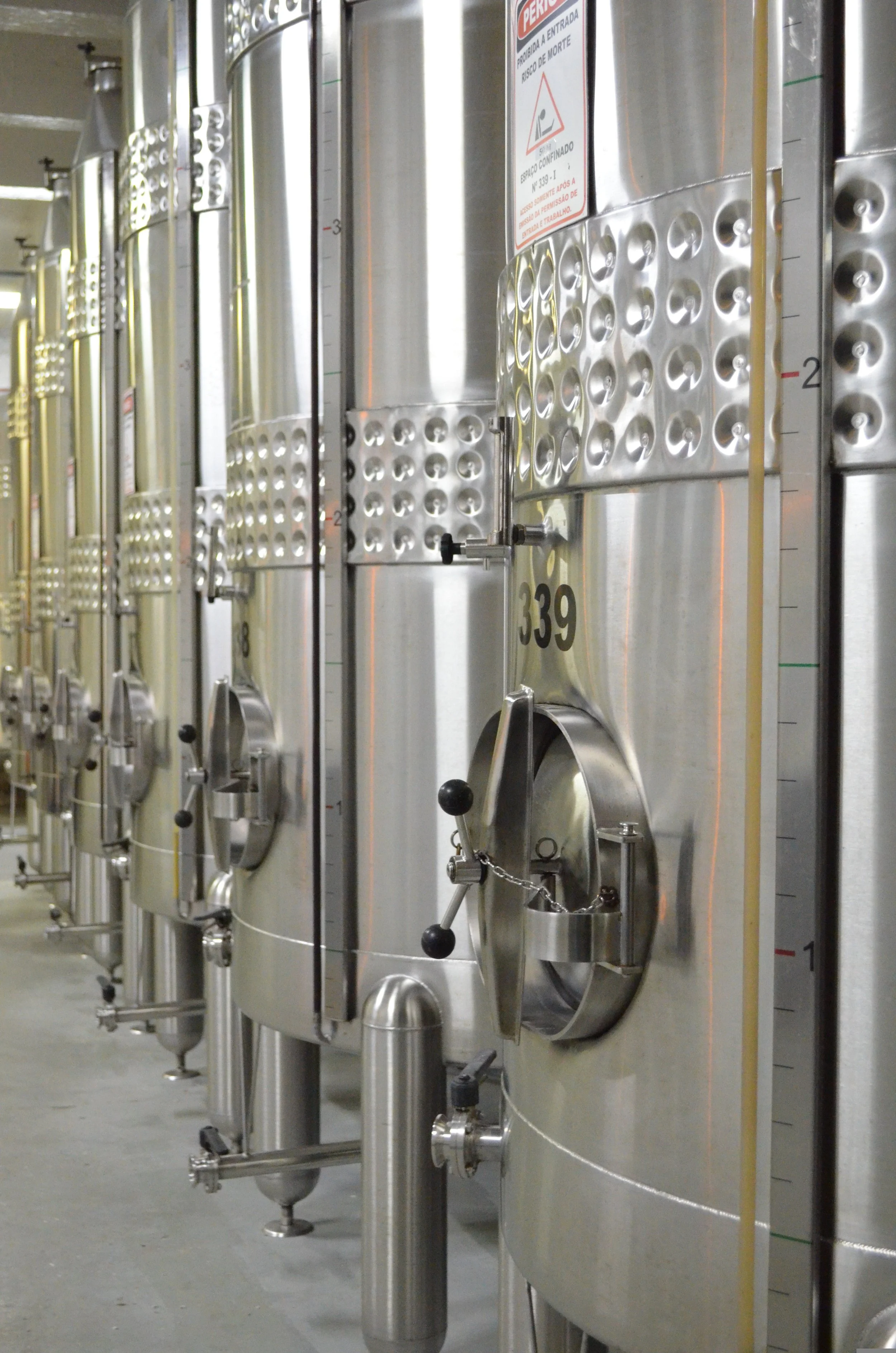 De la vigne à la flûte : la fermentation alcoolique