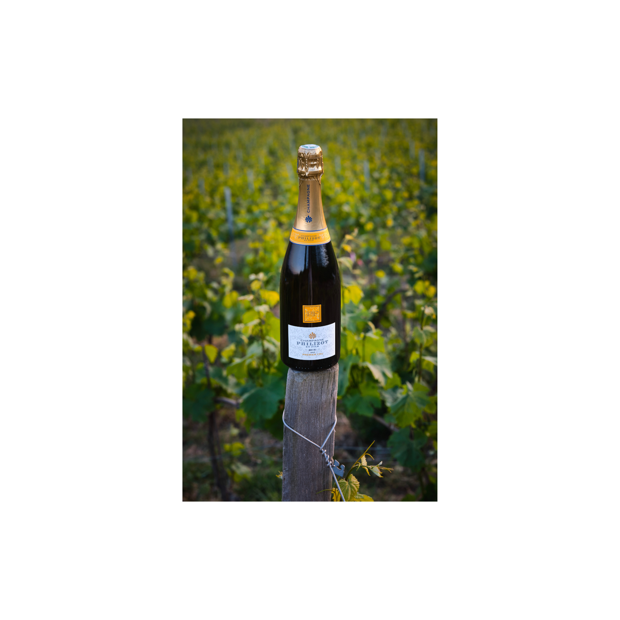 Meilleur champagne du monde 2025-7.png