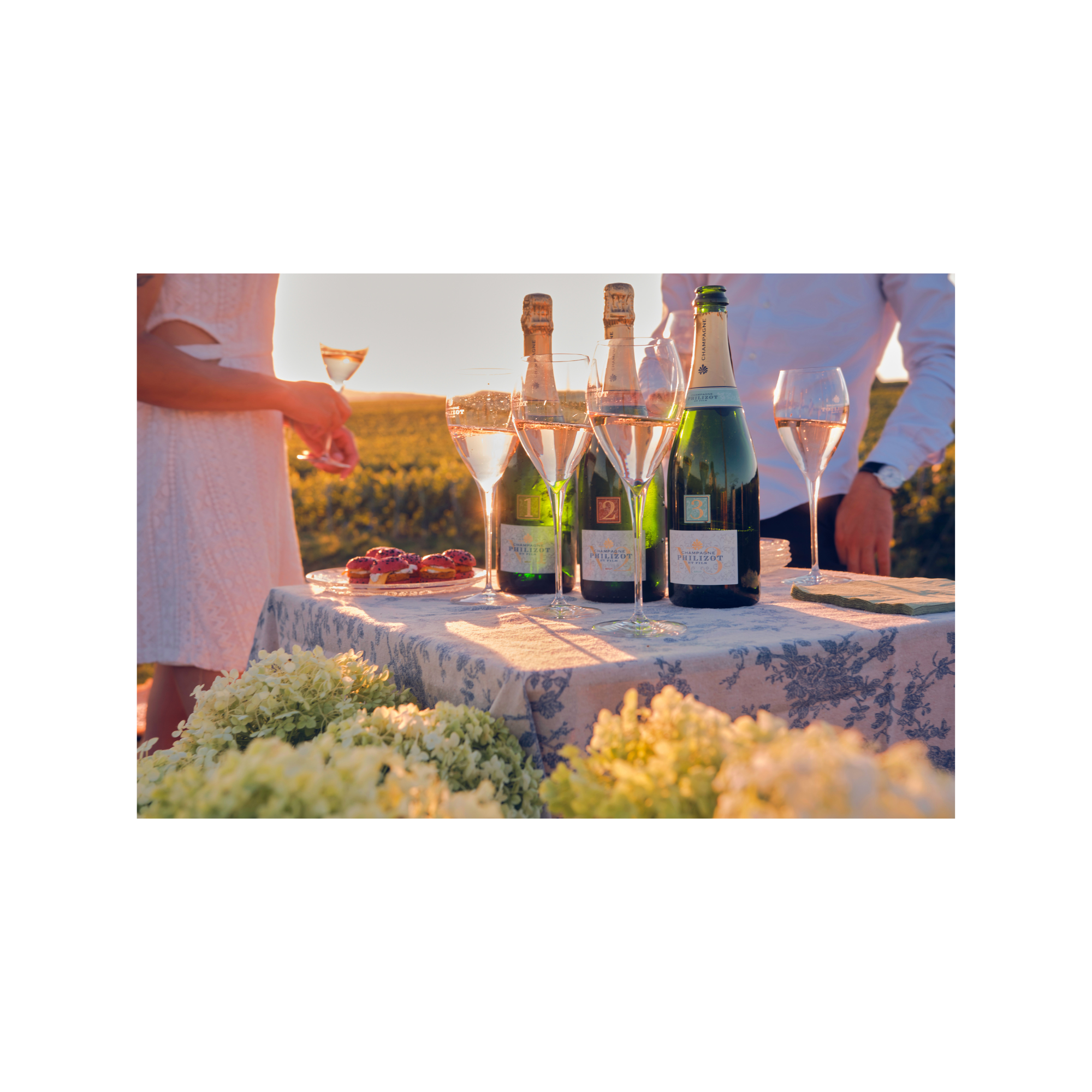 Dégustation "Le gourmet et mets"