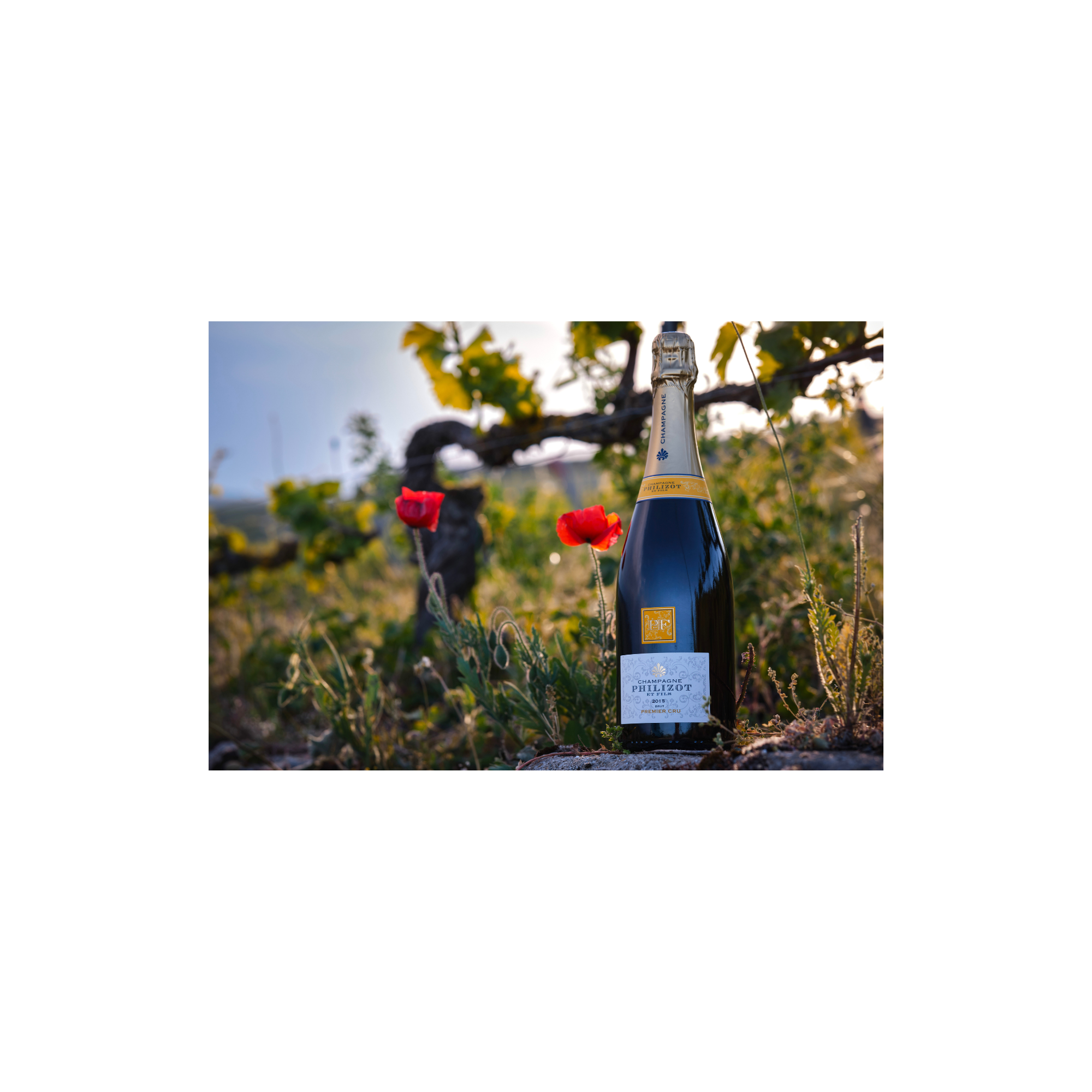 Meilleur champagne du monde 2025-6.png