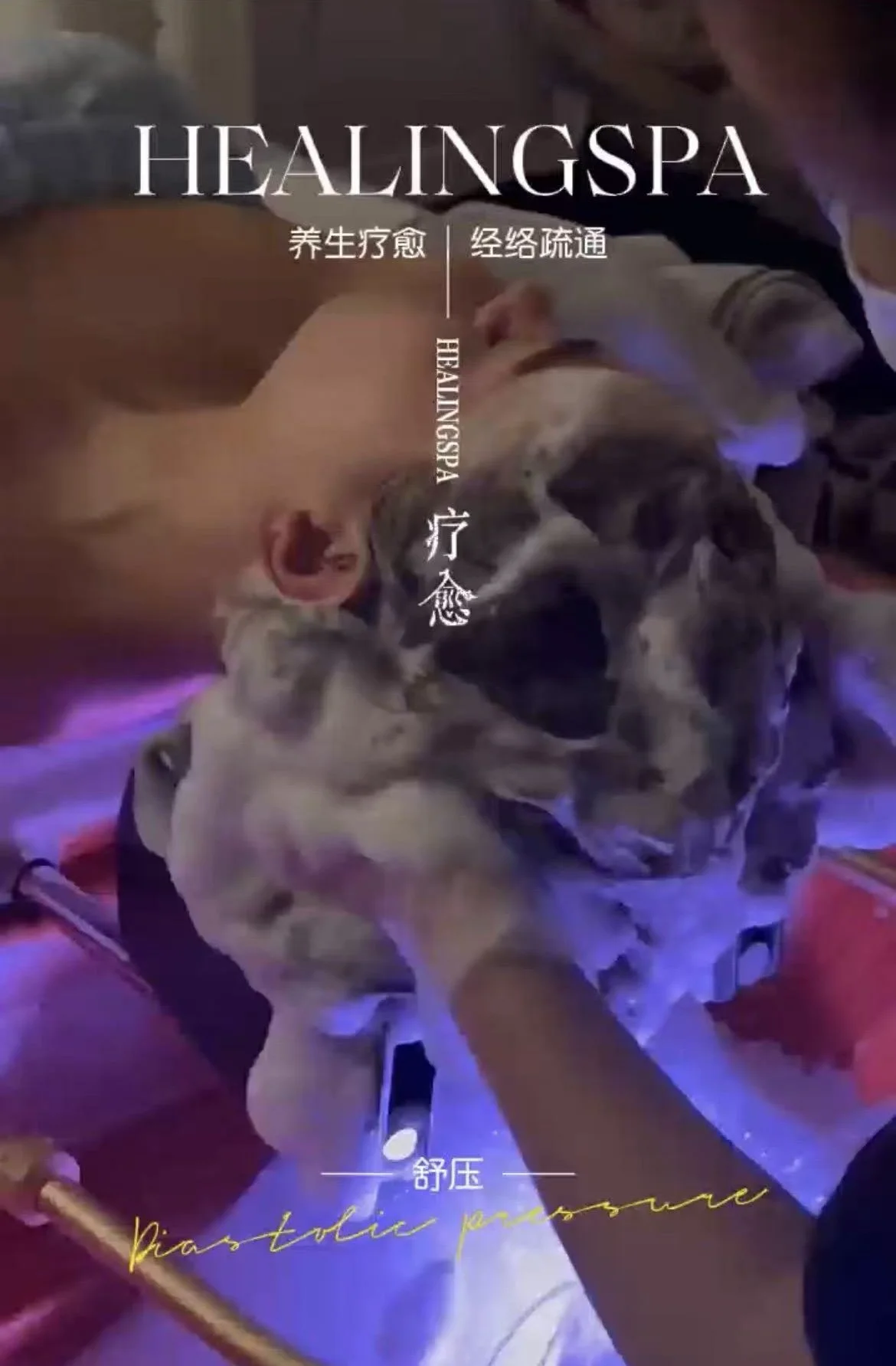 头疗1.jpg