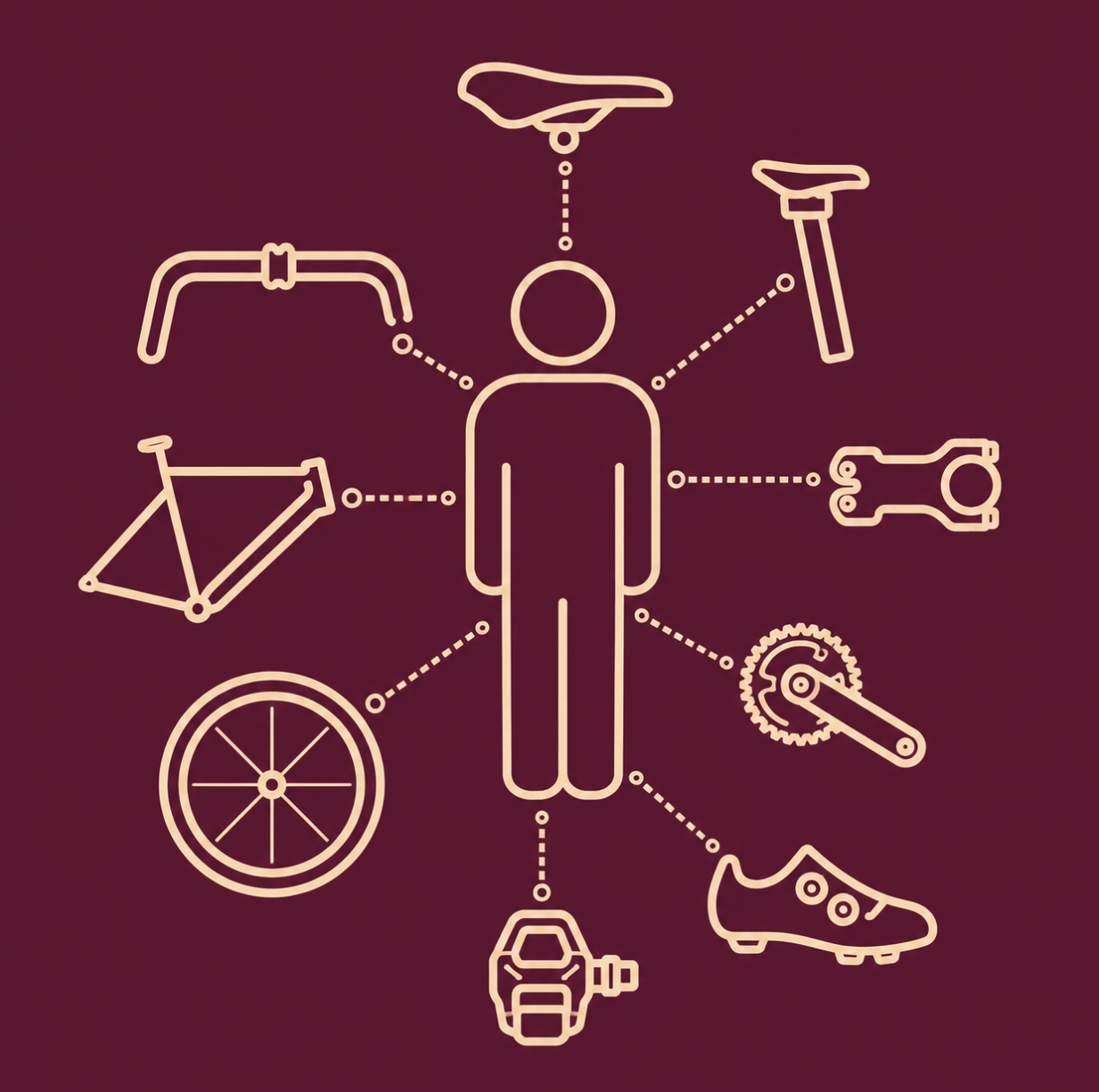 Bikefitting Grafik – Zusammenspiel von Körper, Rad, Radschuh und Sitzposition