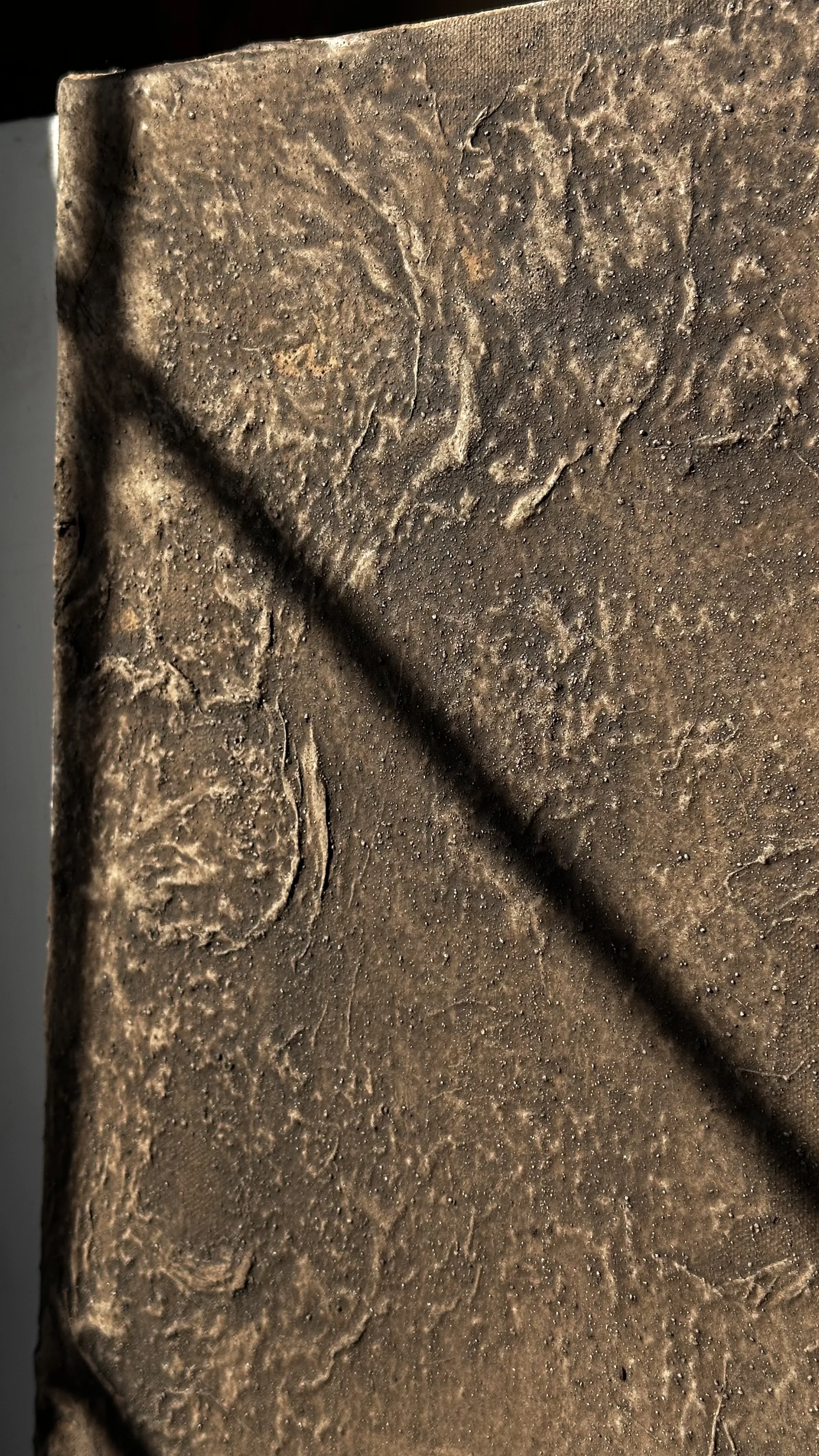 Nahaufnahme einer Oberfläche mit erhabenen, unregelmäßigen Strukturen und Texturen, die an alte, erosive Steine erinnert.