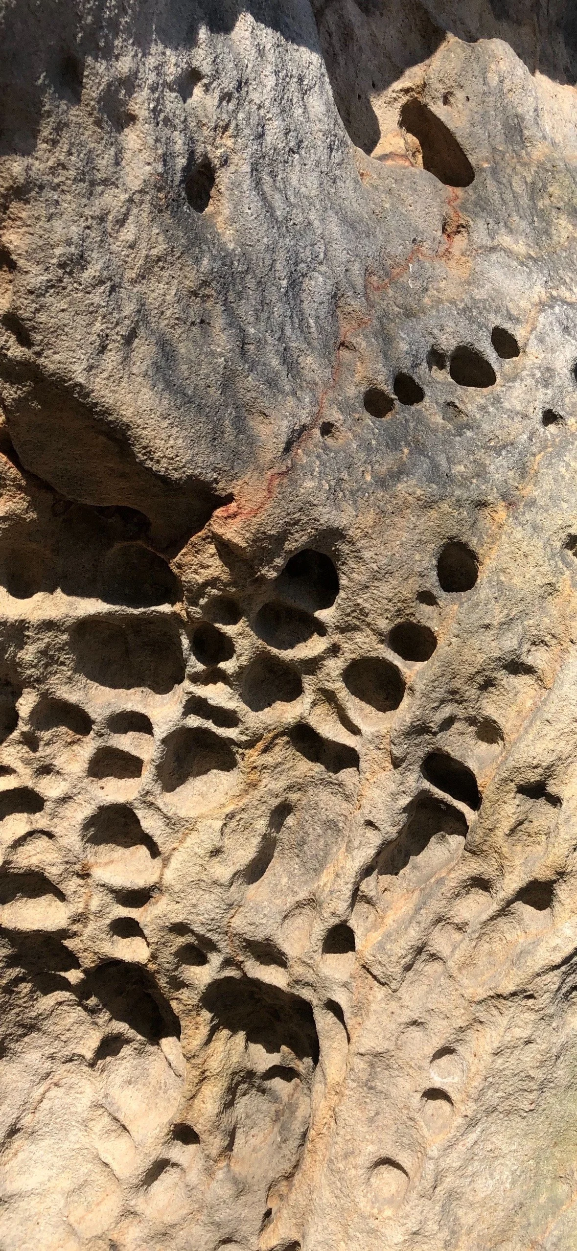 Felsformation mit zahlreichen natürlichen Löchern und Vertiefungen.