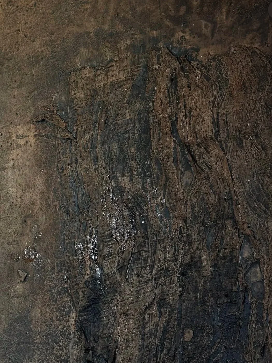 Gesteinsprobe mit unterschiedlichen Strukturen und Farbnuancen, hauptsächlich in Braun- und Schwarztönen, mit glatten und texturierten Oberflächen.