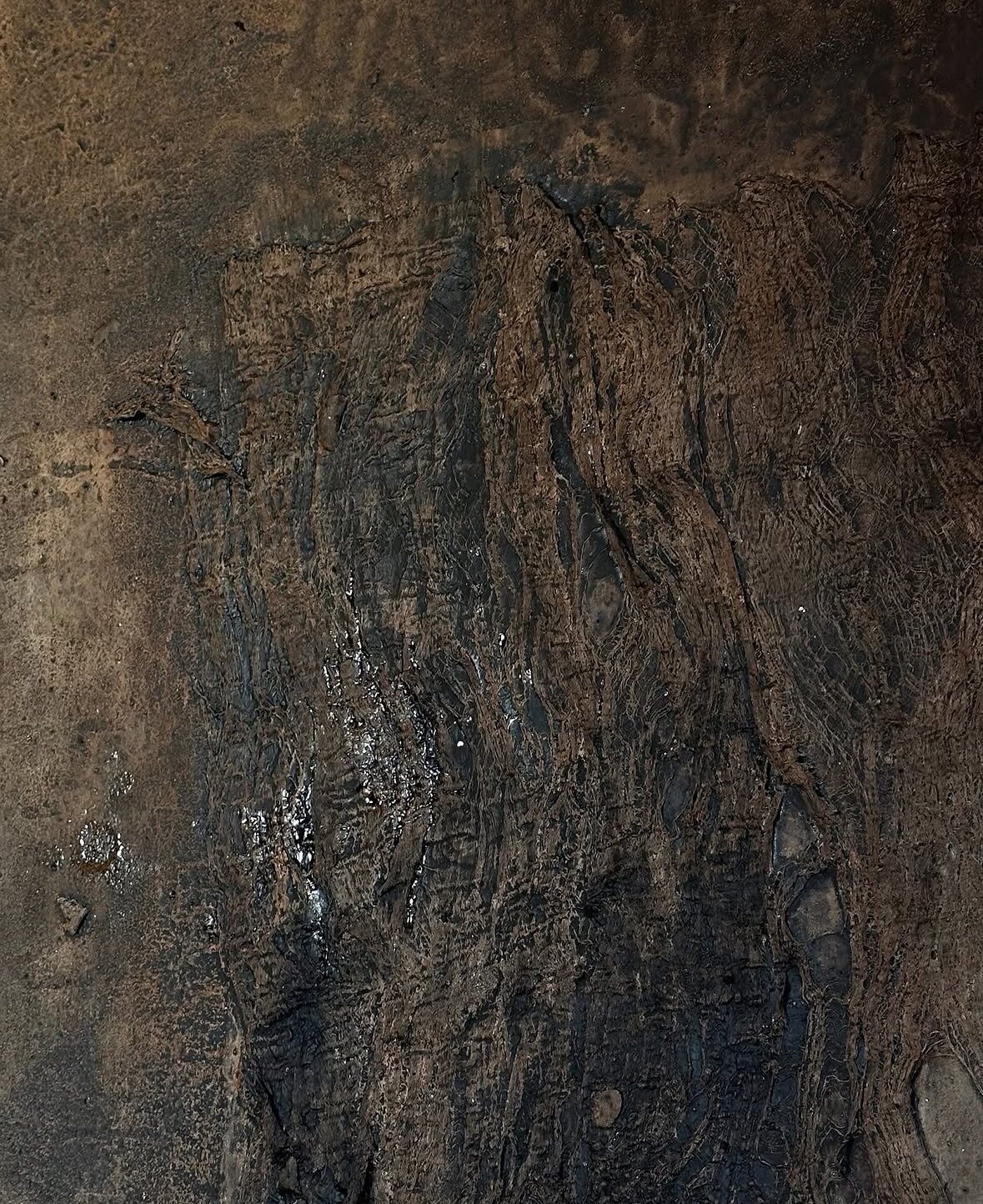 Dunkle, strukturierte Oberfläche mit braunen und schwarzen Farben, wahrscheinlich Holz oder Gestein mit natürlichen Mustern.