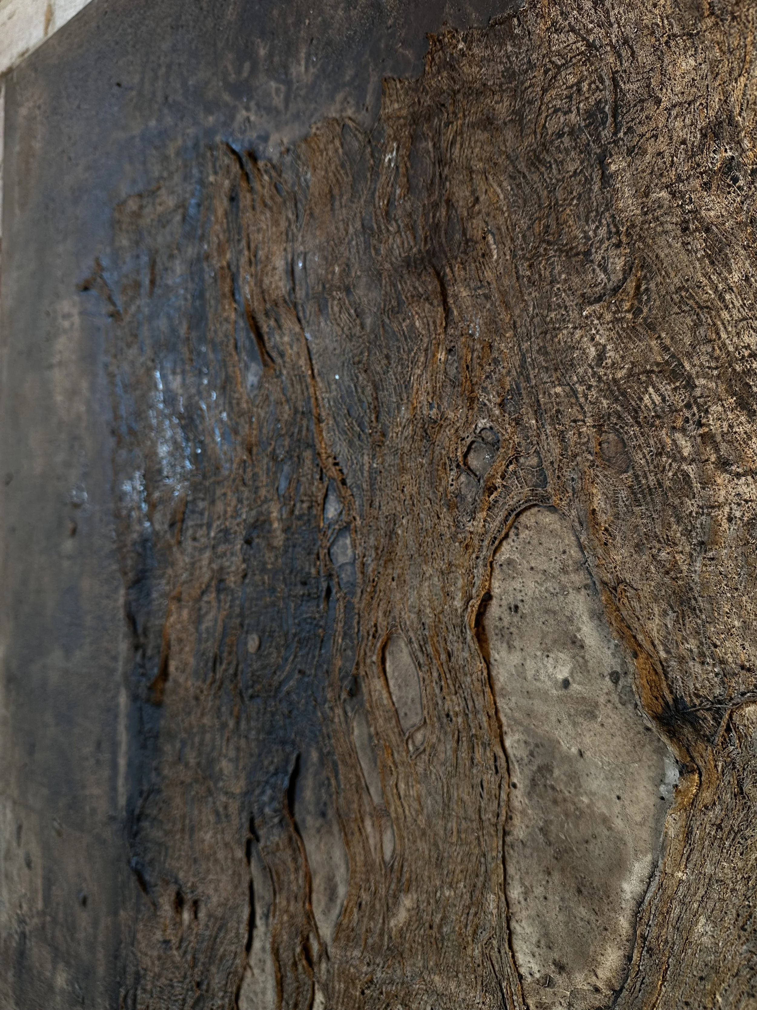 Nahaufnahme einer Holzwand mit ausgeprägten Jahresringen und natürlichen Maserungen.