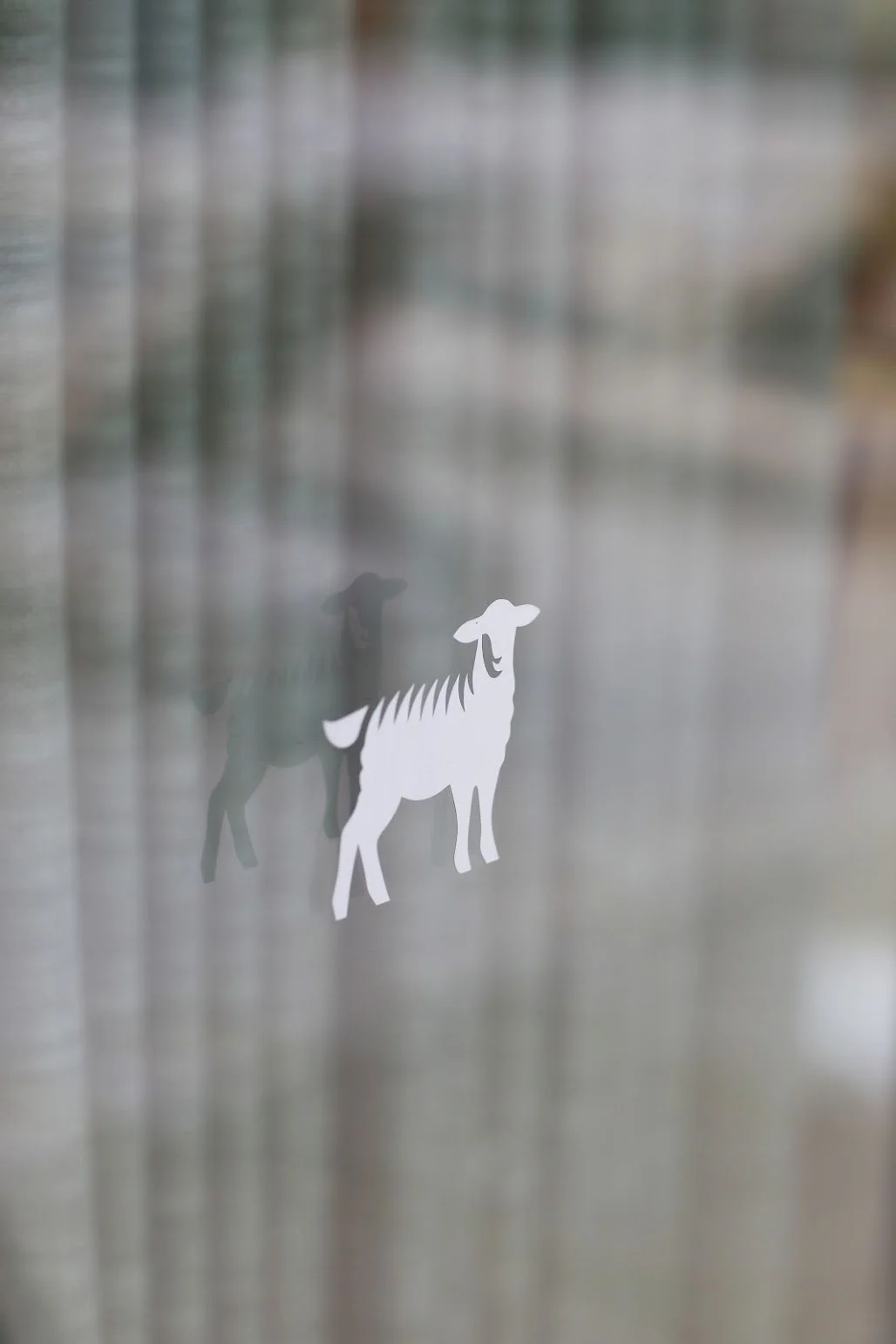 The Shearling__9933 copy.jpg