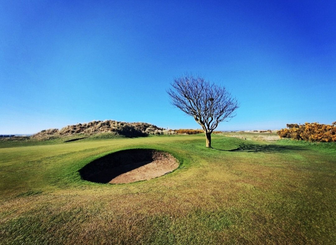 Golf Portraiture Scotland St. Andrews