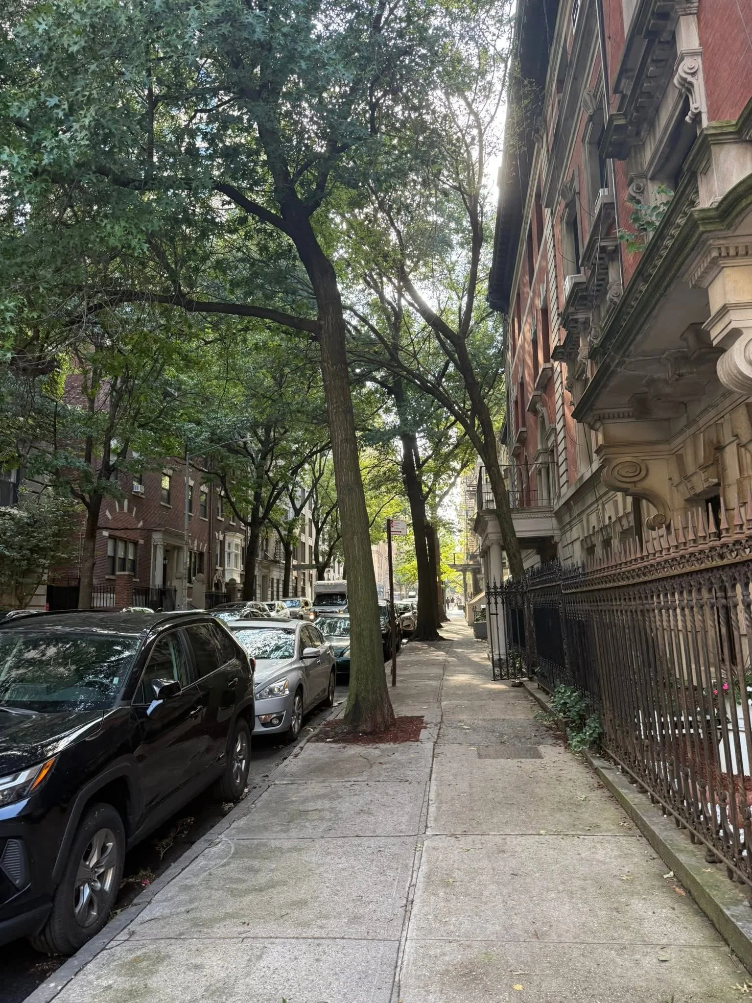A city street with parked cars along the curb and multi-story brick buildings on the right. Tree branches extend overhead, providing shade on the sidewalk.