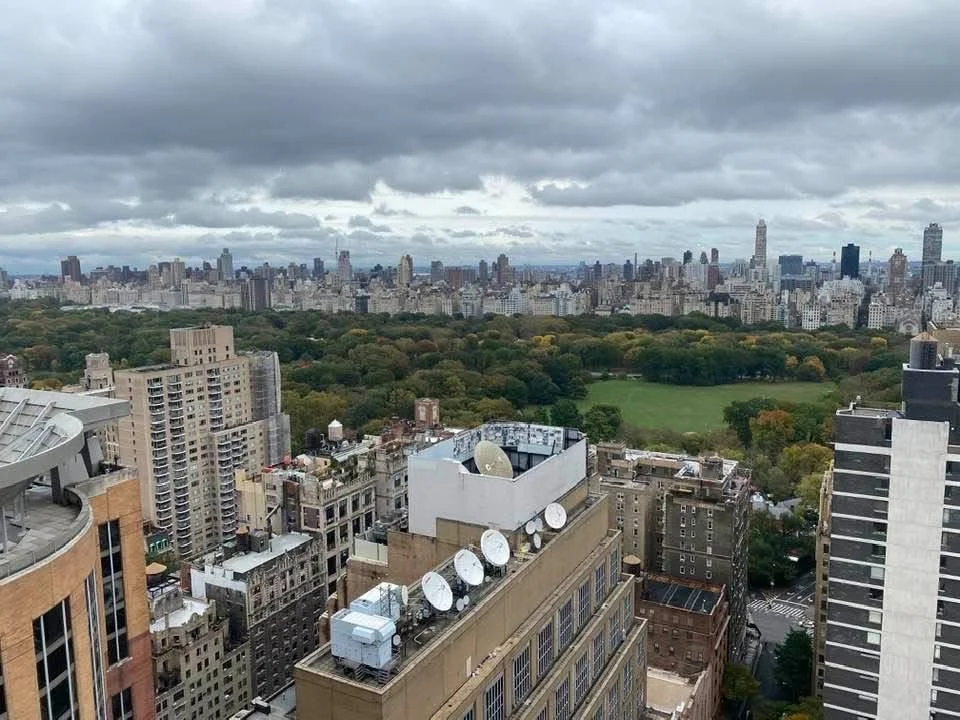 City skyline with tall buildings and green park in the background under cloudy sky.