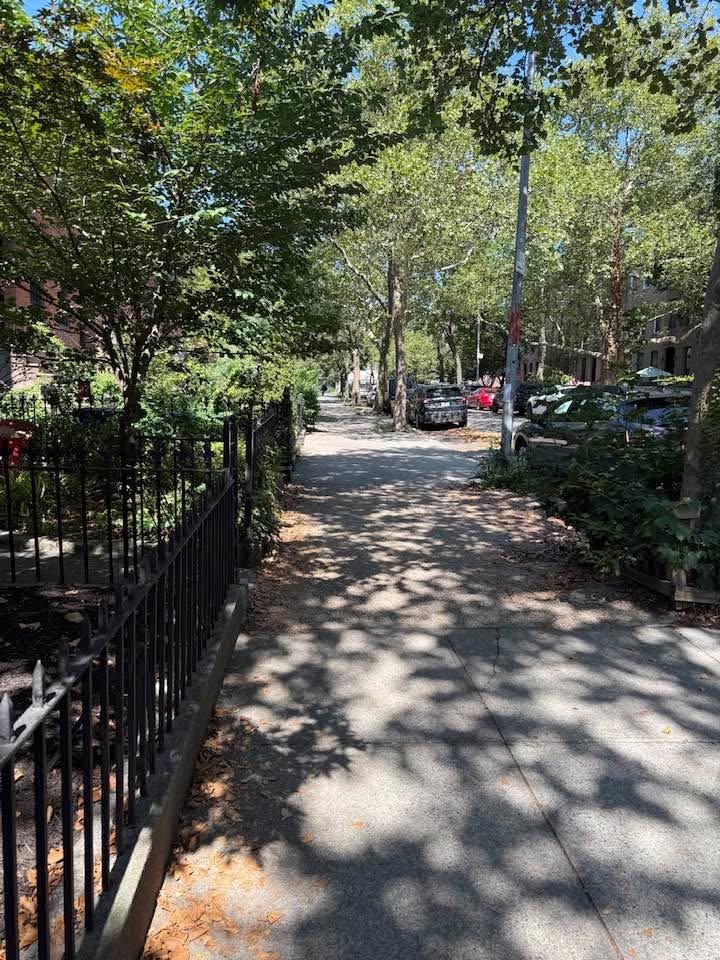 A sidewalk lined with trees causing shadows, residential buildings and parked cars along the street on a sunny day.