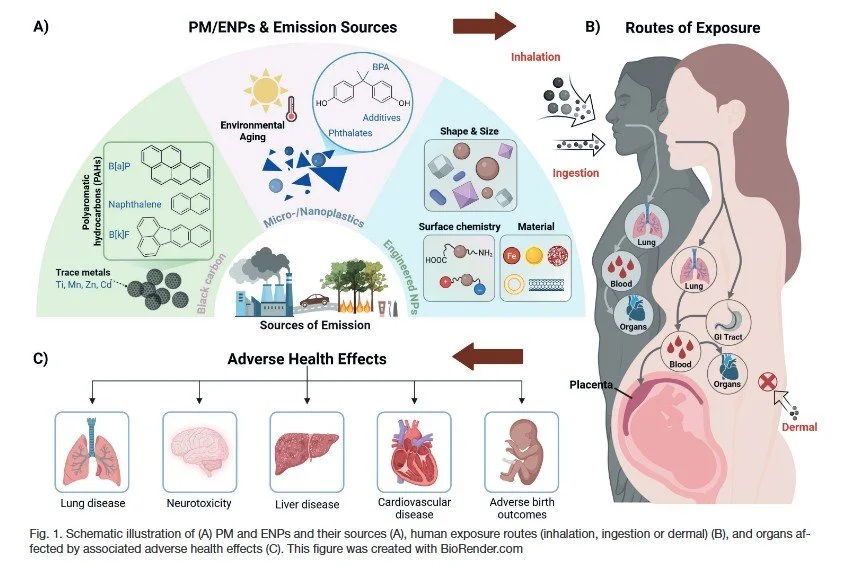 New Review Highlights Why Airborne Nanoparticles Matter in Pregnancy