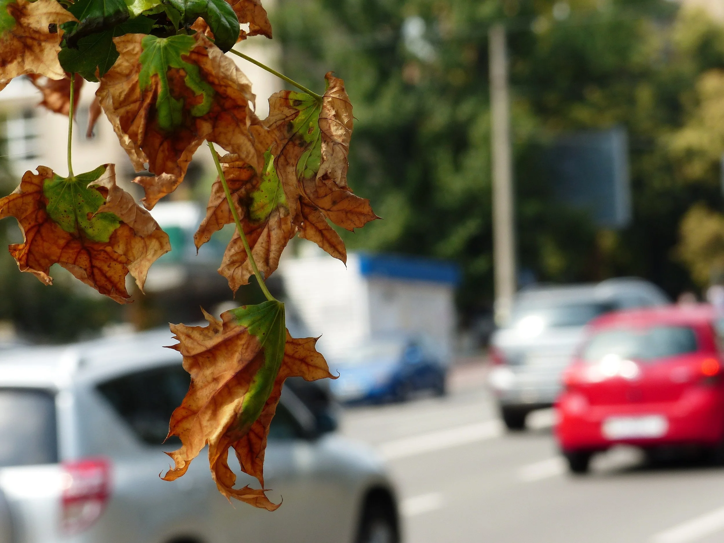 Clean Air Day 2026: Why Clean Air Is More Complex Than a Blue Sky