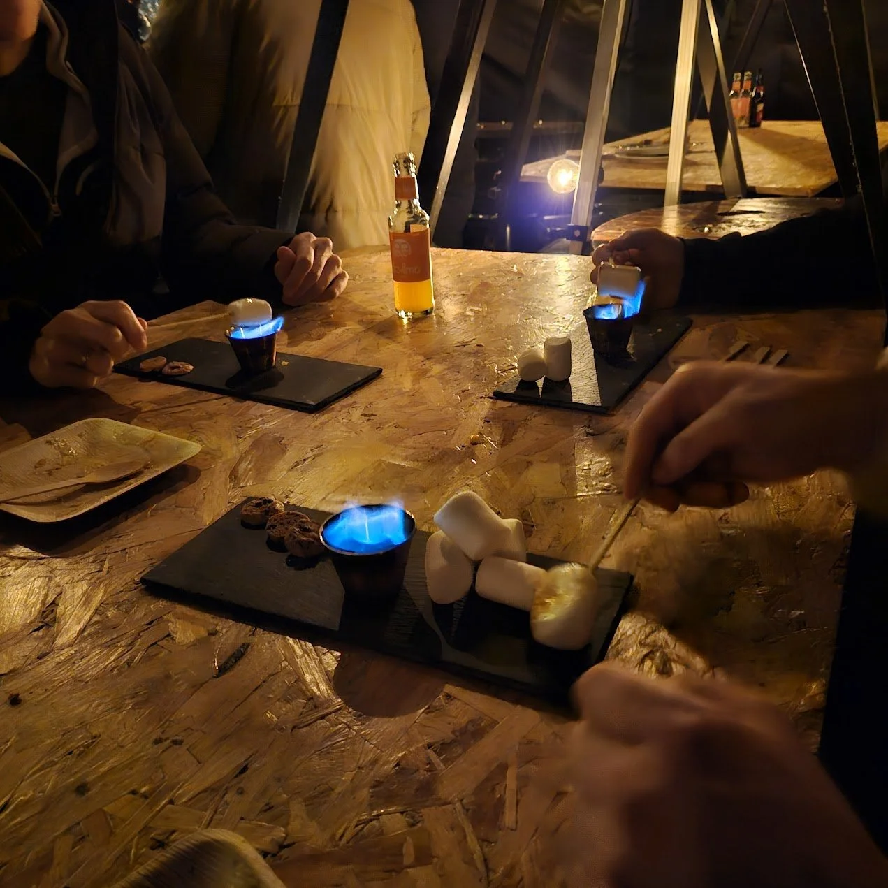 02-11 Winter BBQ 3.jpg