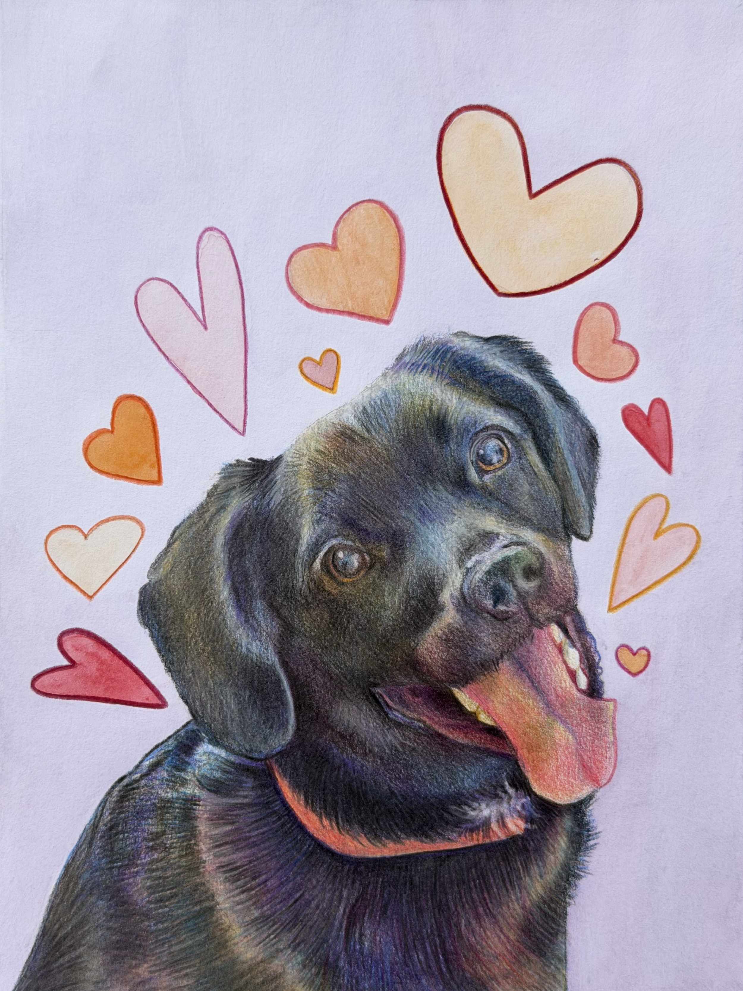 Miley - Pet Portrait Commission