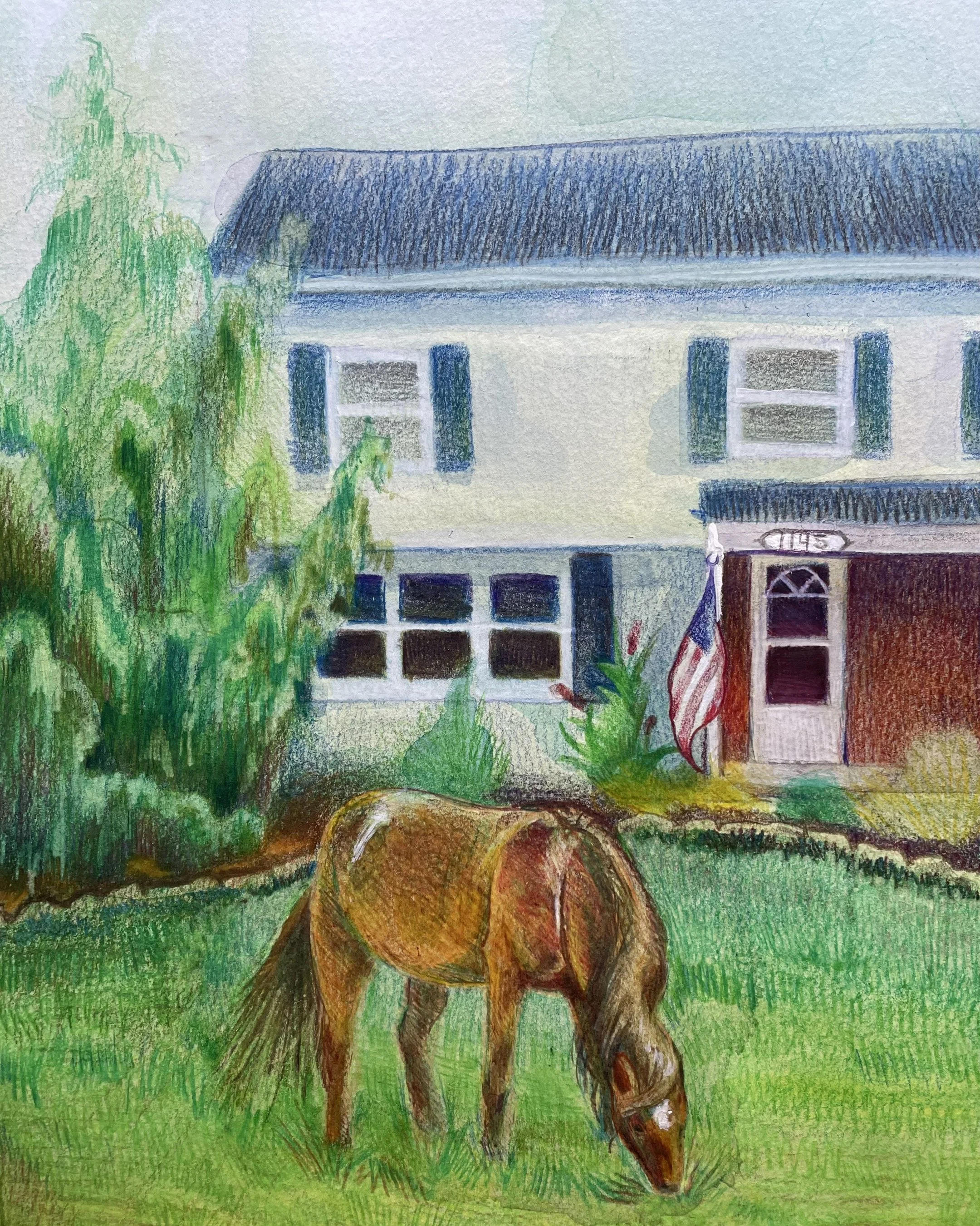 House/Pet Portrait Commission