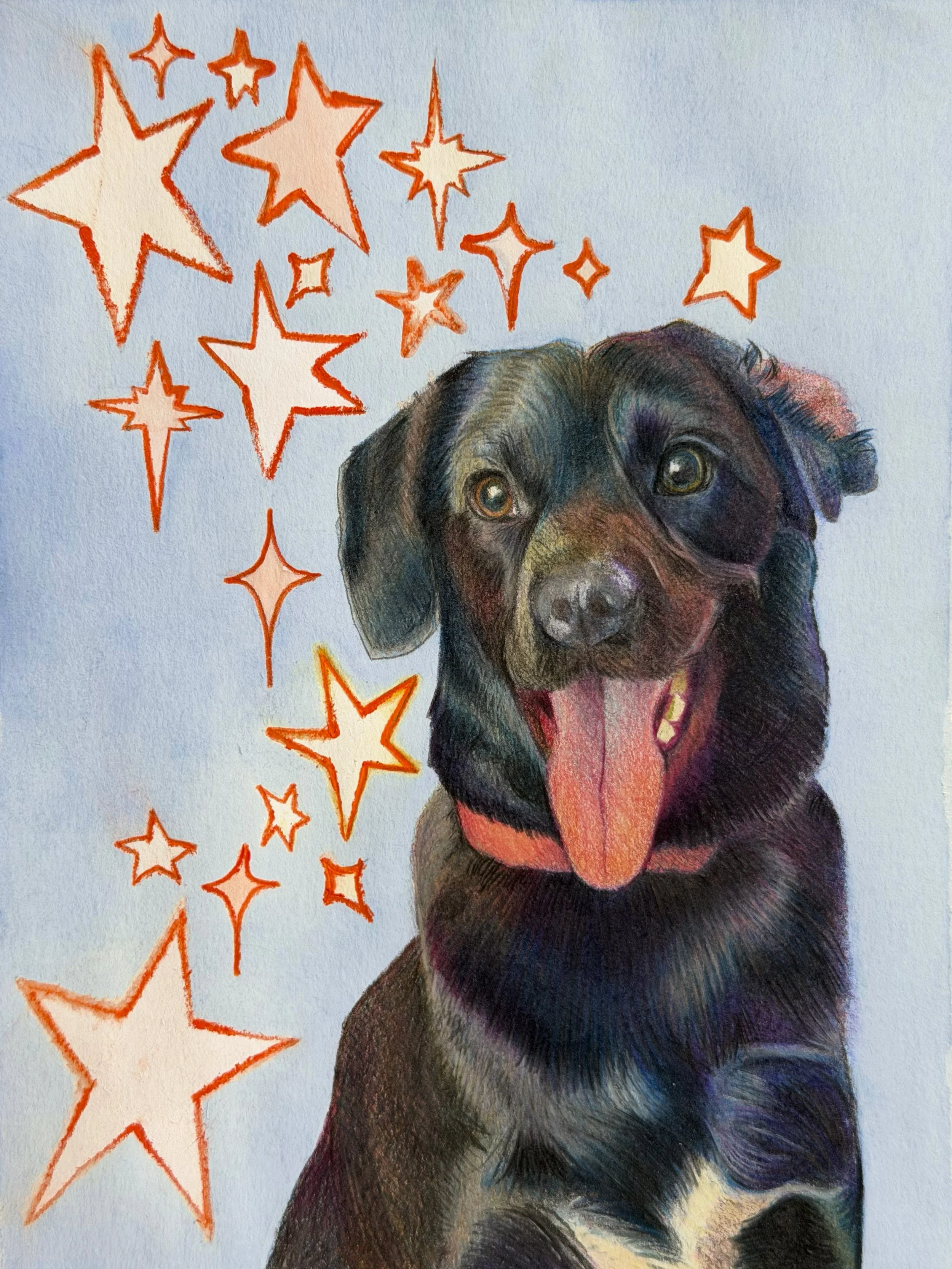 Miley - Pet Portrait Commission