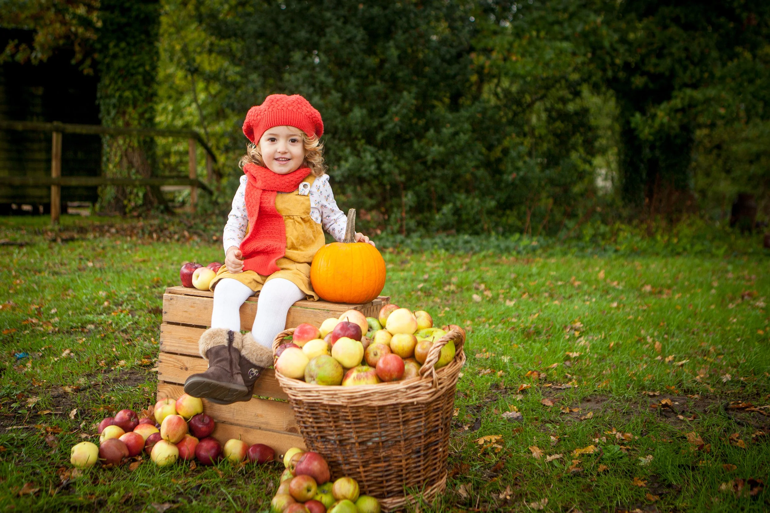 Autumn mini shoots