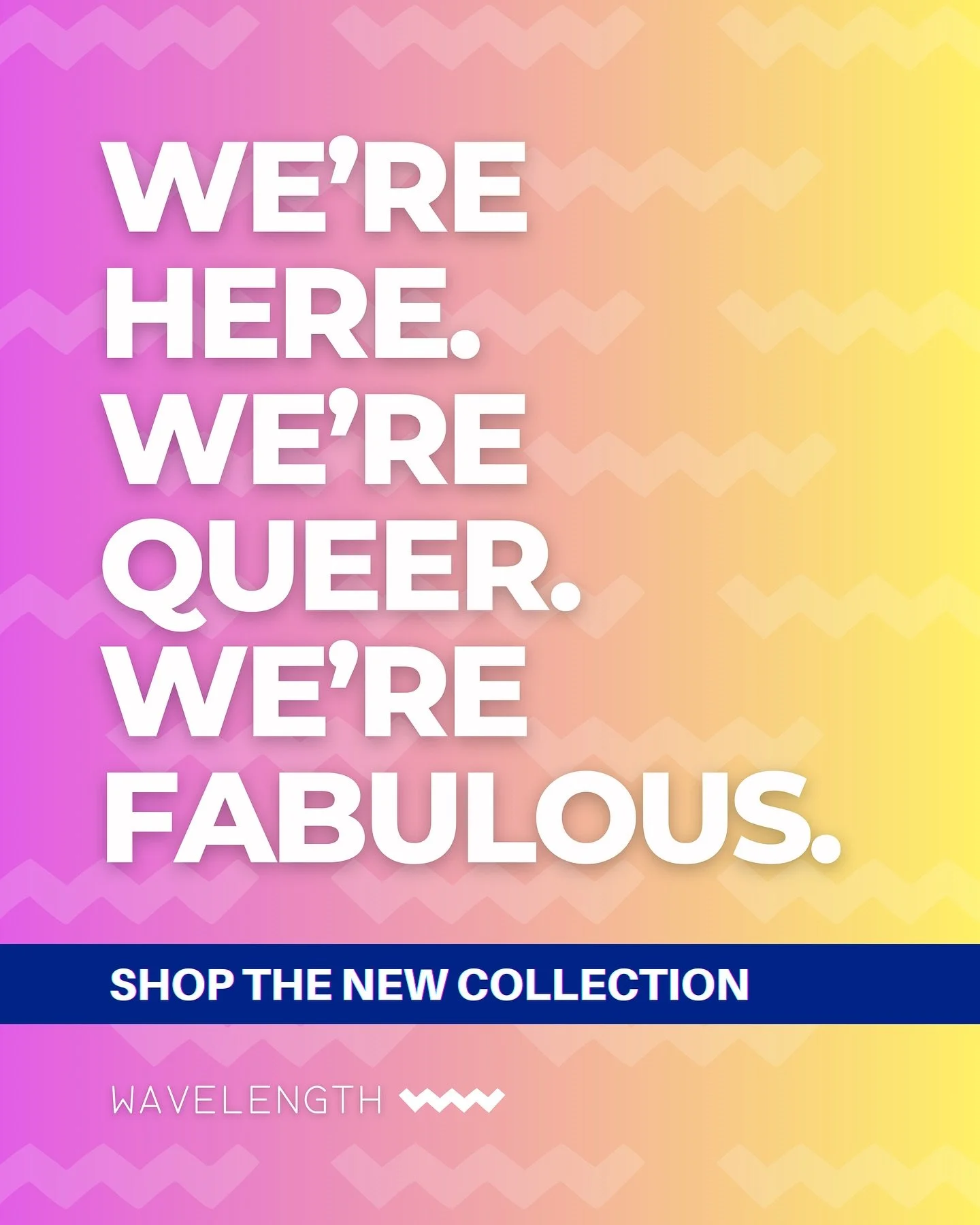 The hard-won civil liberties of LGBTQIA+ folks across the country are once again under attack, but we aren&rsquo;t going anywhere. 🏳️&zwj;🌈

Check out our collection of queer-themed t-shirts, tote bags, notebooks, stickers, magnets, and postcards f