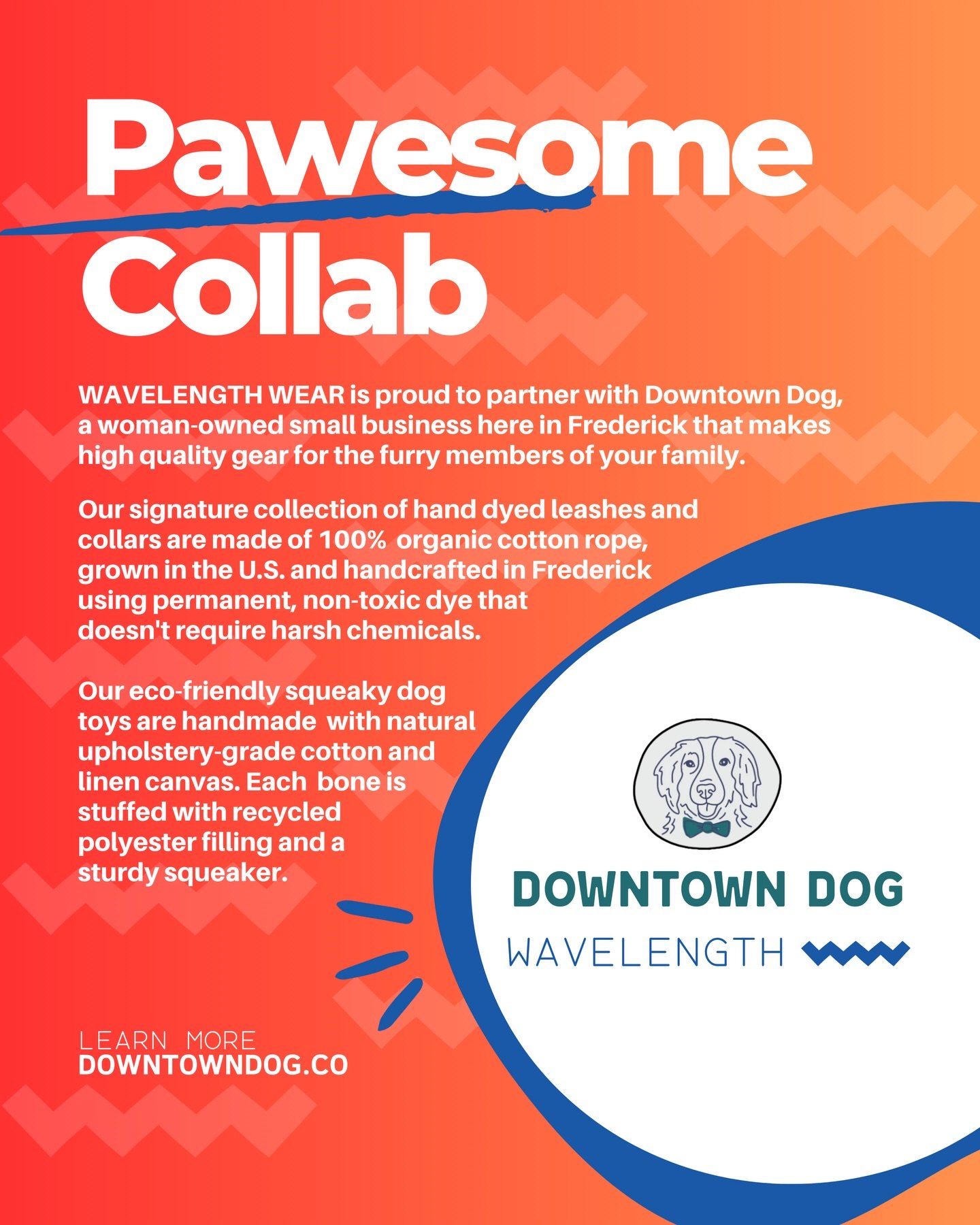 We love dogs, you love dogs, and dogs deserve cool stuff. 🐾 😎

That&rsquo;s why we are soooooooo excited to collaborate with @downtowndogmd on a line of signature @wavelength.wear leashes, collars, and stuffed toys!

Just a few of the many reasons 