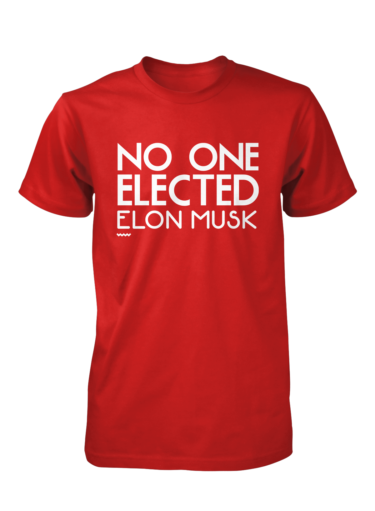 No One Elected Musk