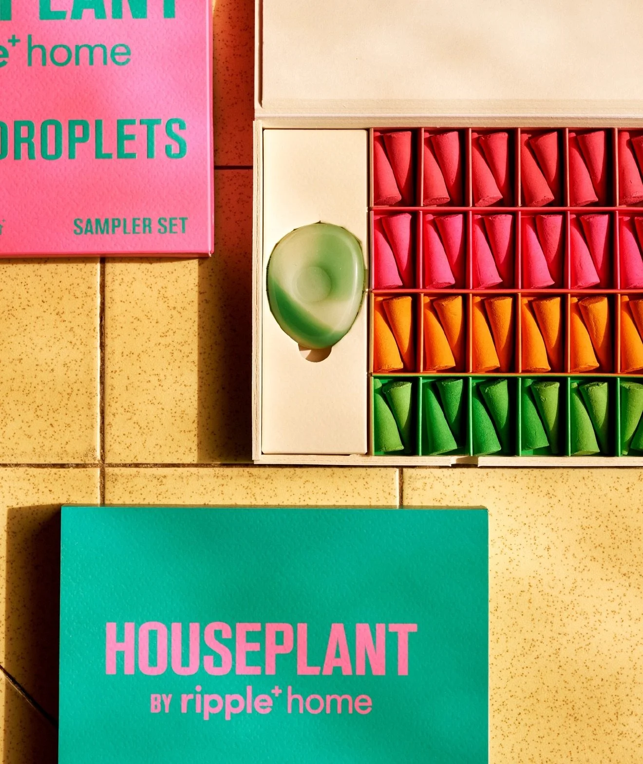 HOUSEPLANTsampler6.jpeg