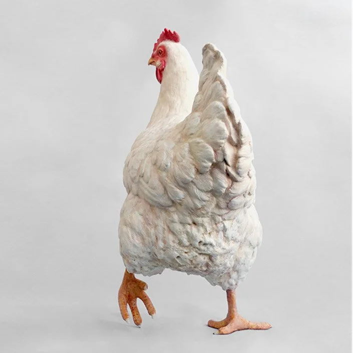 Henne 1.jpg
