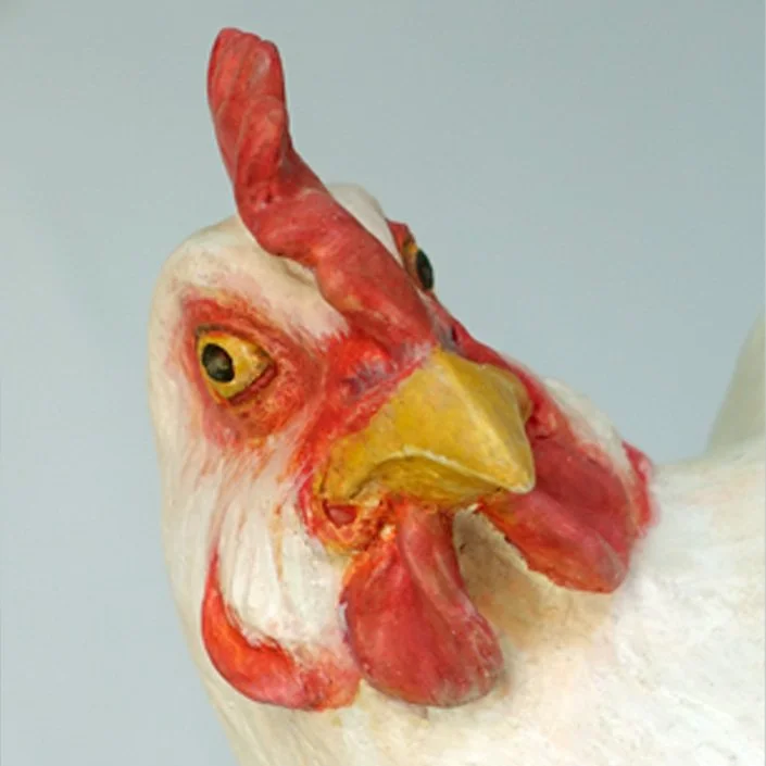 Huhn 7.jpg