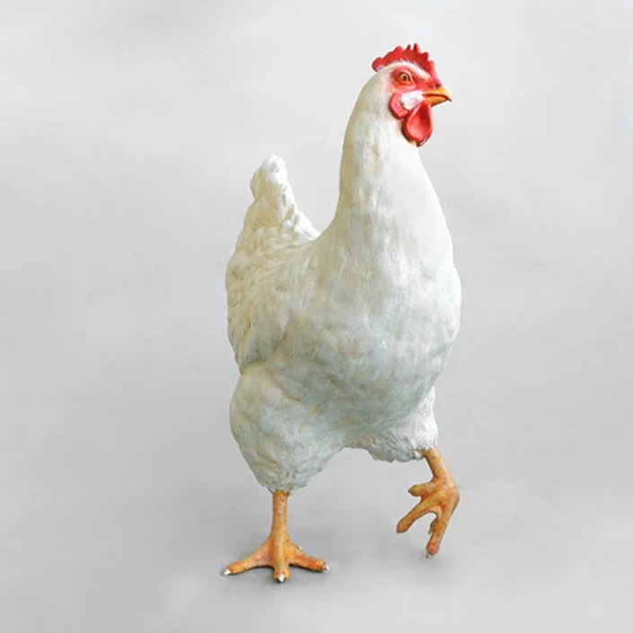 Henne 2.jpg