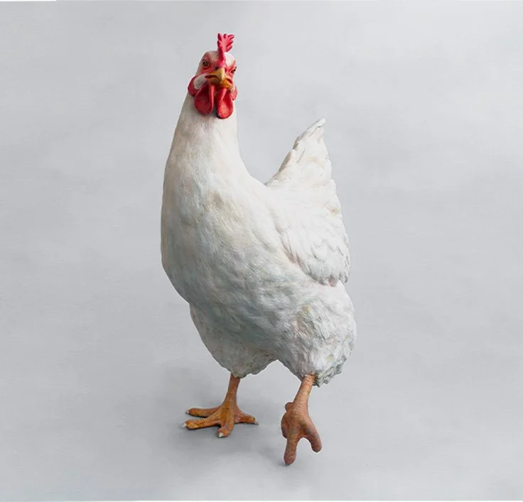 Henne 3.jpg