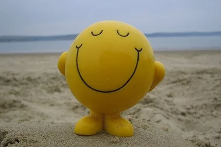 What does Happiness look like ?