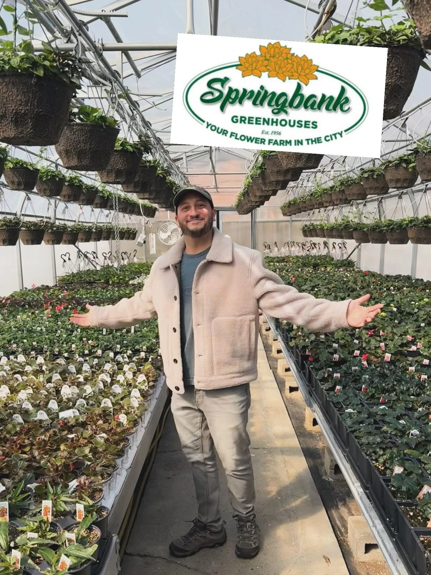 Big announcement! 🌱
This summer, I&rsquo;m teaming up with @springbankgreenhouses to host two pop-up events to help you kickstart your vegetable garden.

Come meet me and bring your questions, your excitement, and yes&hellip; your wallet. 💅🏼 I&rsq