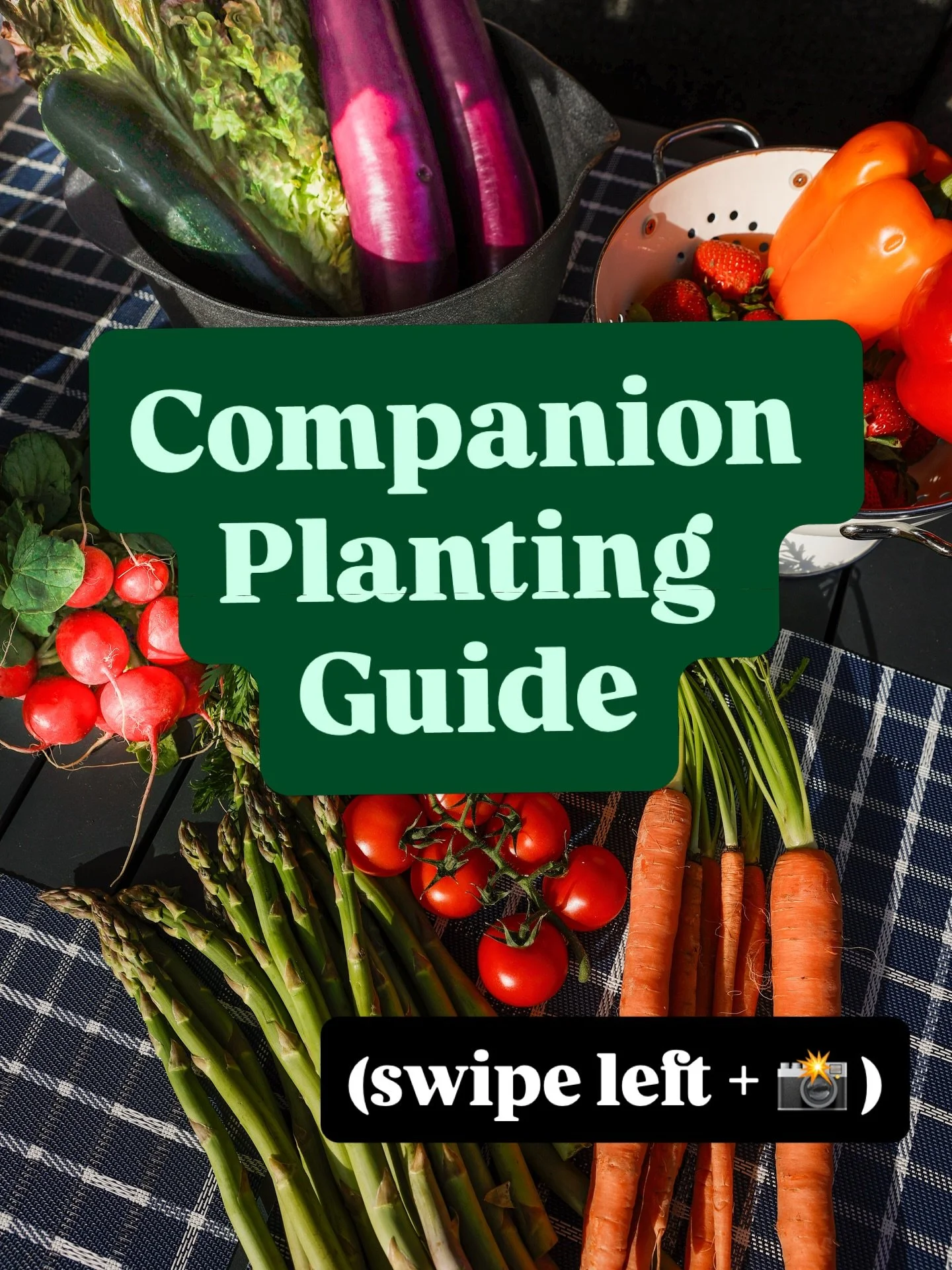 Some plants are soulmates&hellip; others are toxic exes 😂🌿

Don&rsquo;t let your veggies make bad dating choices.

#gardendaddy #companionplanting #plantdrama #torontogarden #beginnergardener
