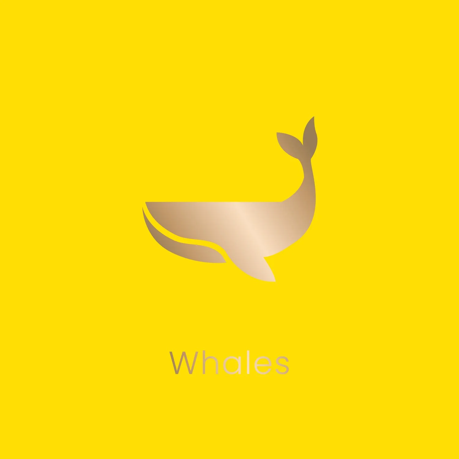 Activation_1500x1500px_Whales Symbol & Text.jpg