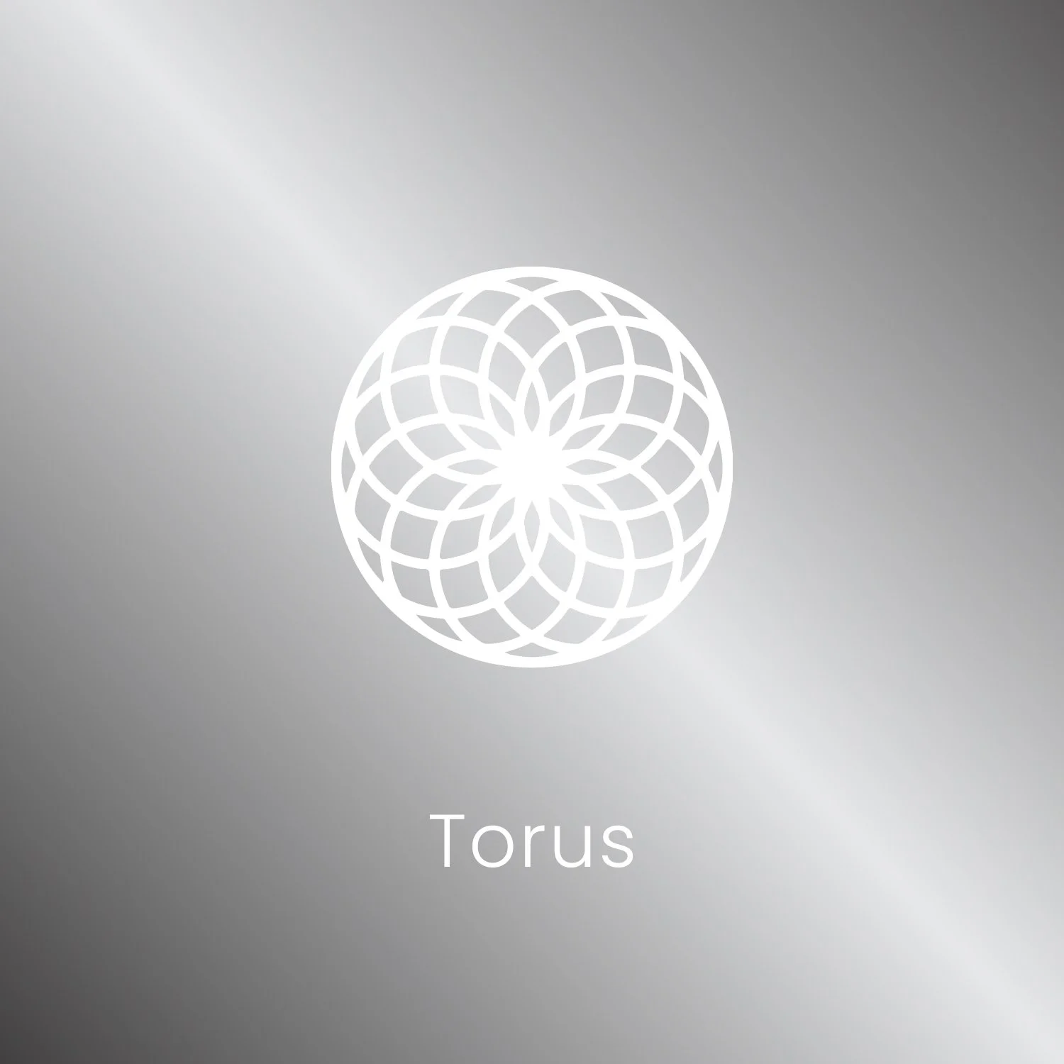 Silver Series_1500x1500px_Torus Symbol & Text.jpg