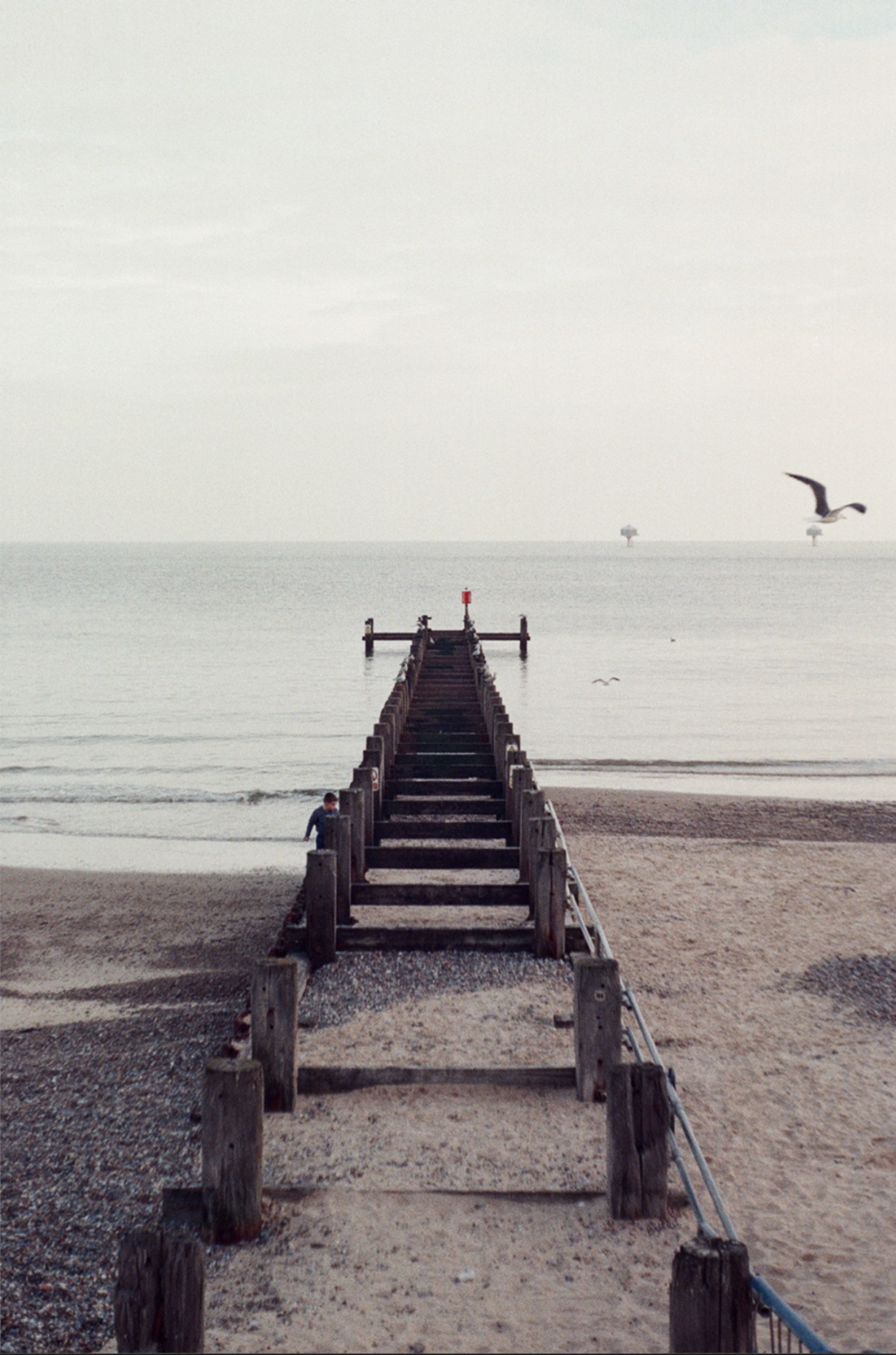 Screenshot 2024-11-20 at 2.10.41 pm.png