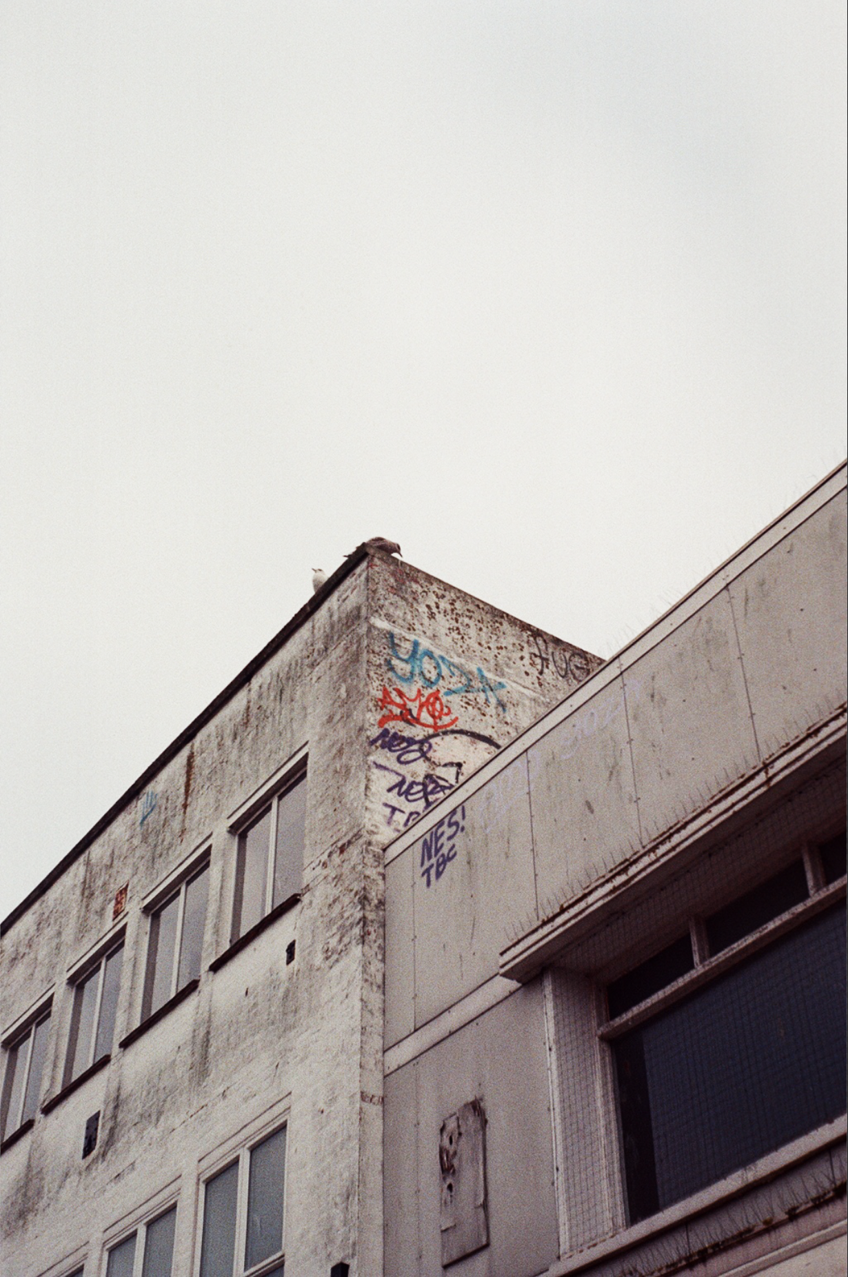 Screenshot 2024-11-20 at 1.59.24 pm.png